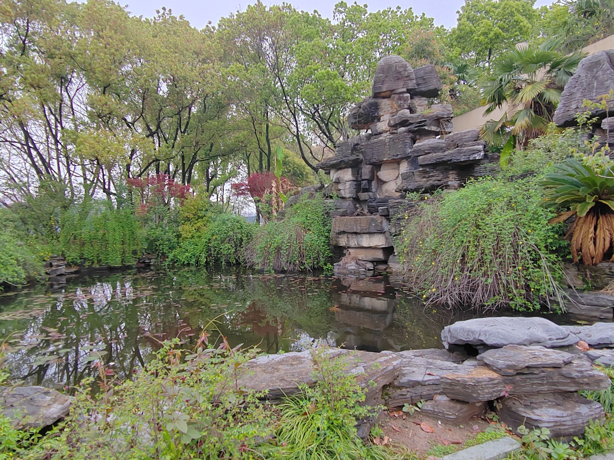 姚江公园旅行图片 3