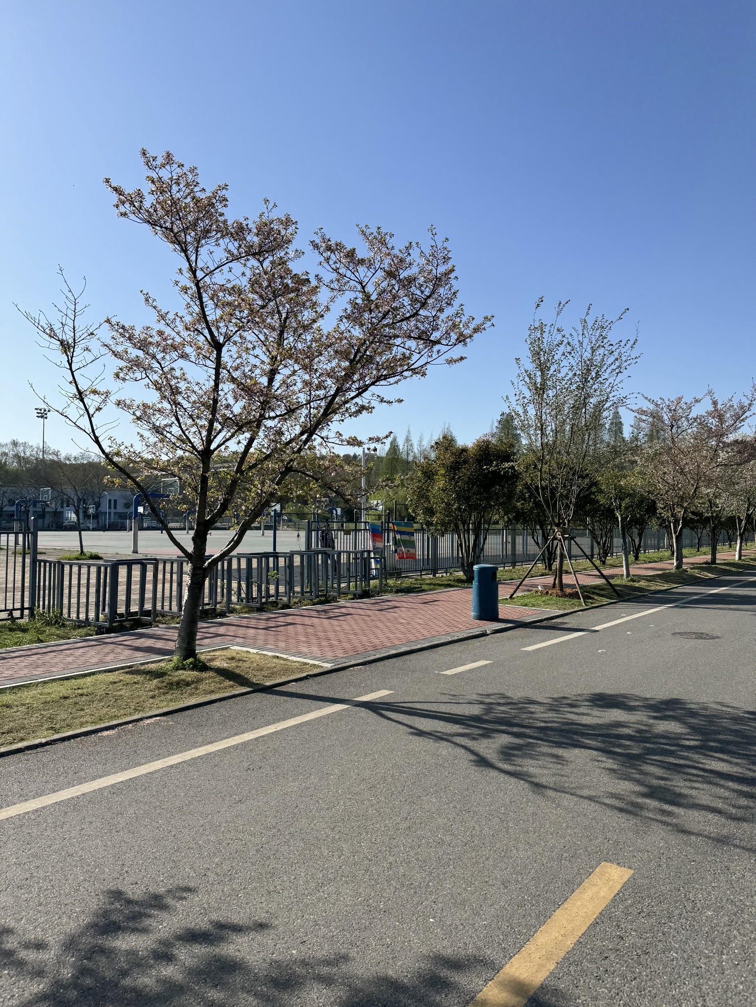 场地封面-华中农业大学东运篮球场