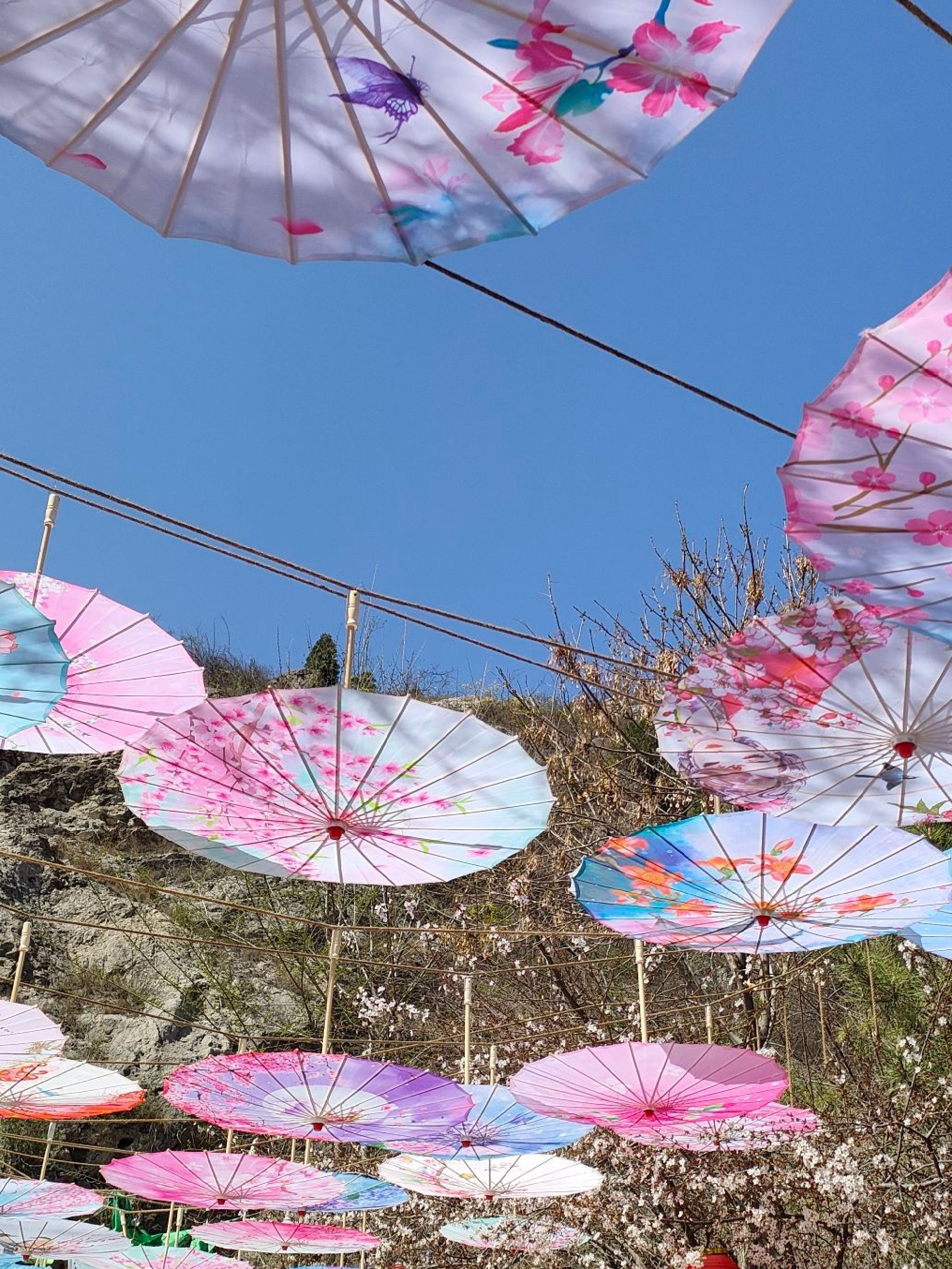 龙澍峪旅游景区旅行图片 2