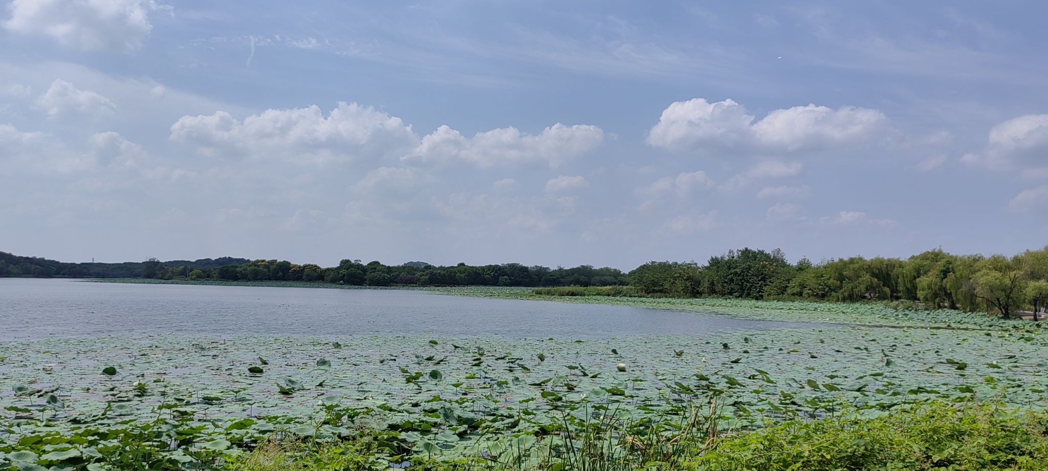 后官湖国家湿地公园