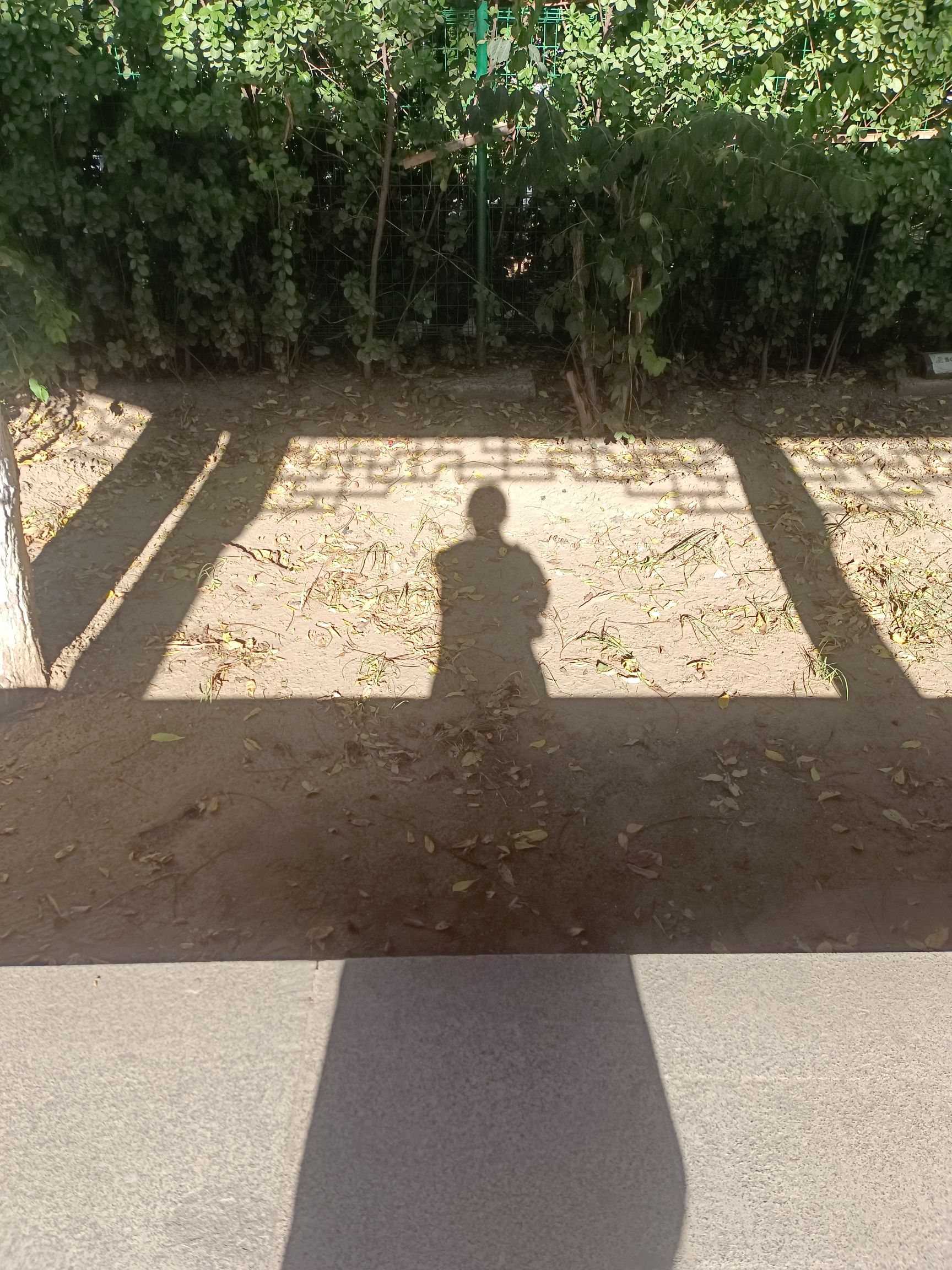 南普公园旅行图片 1