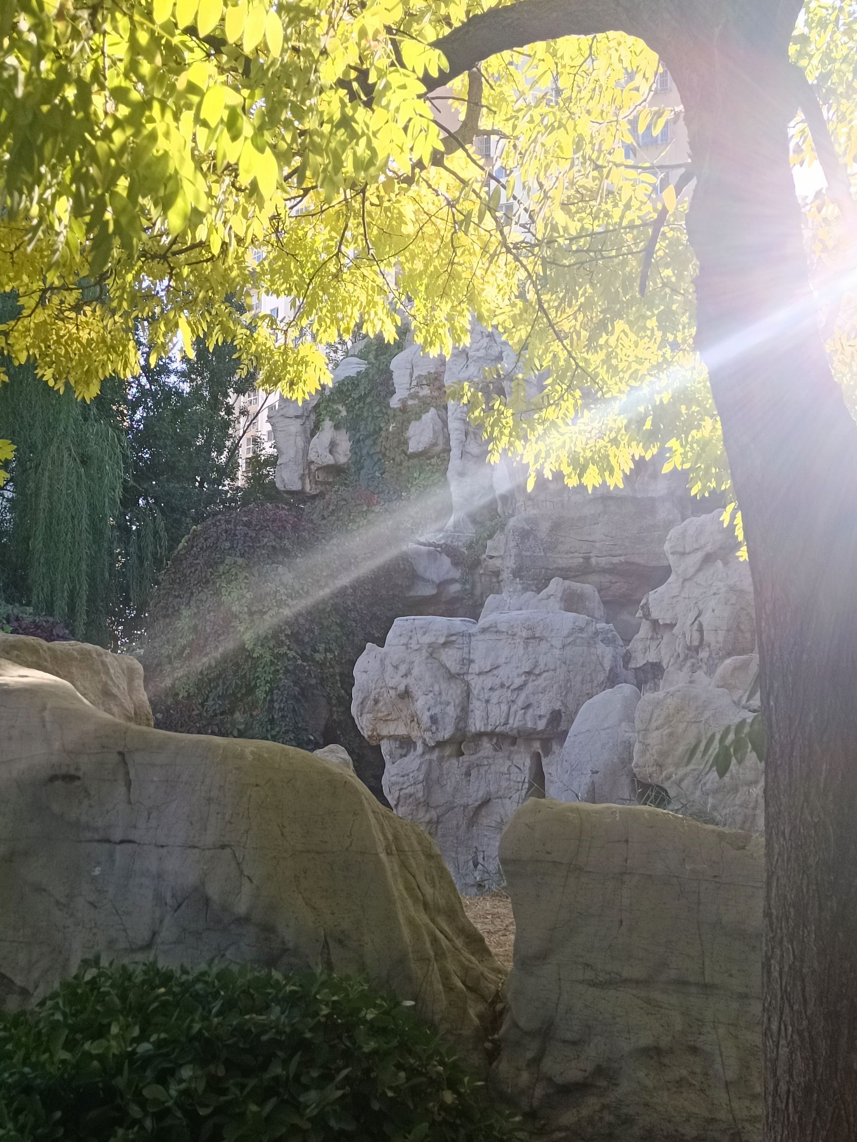 南普公园旅行图片 3