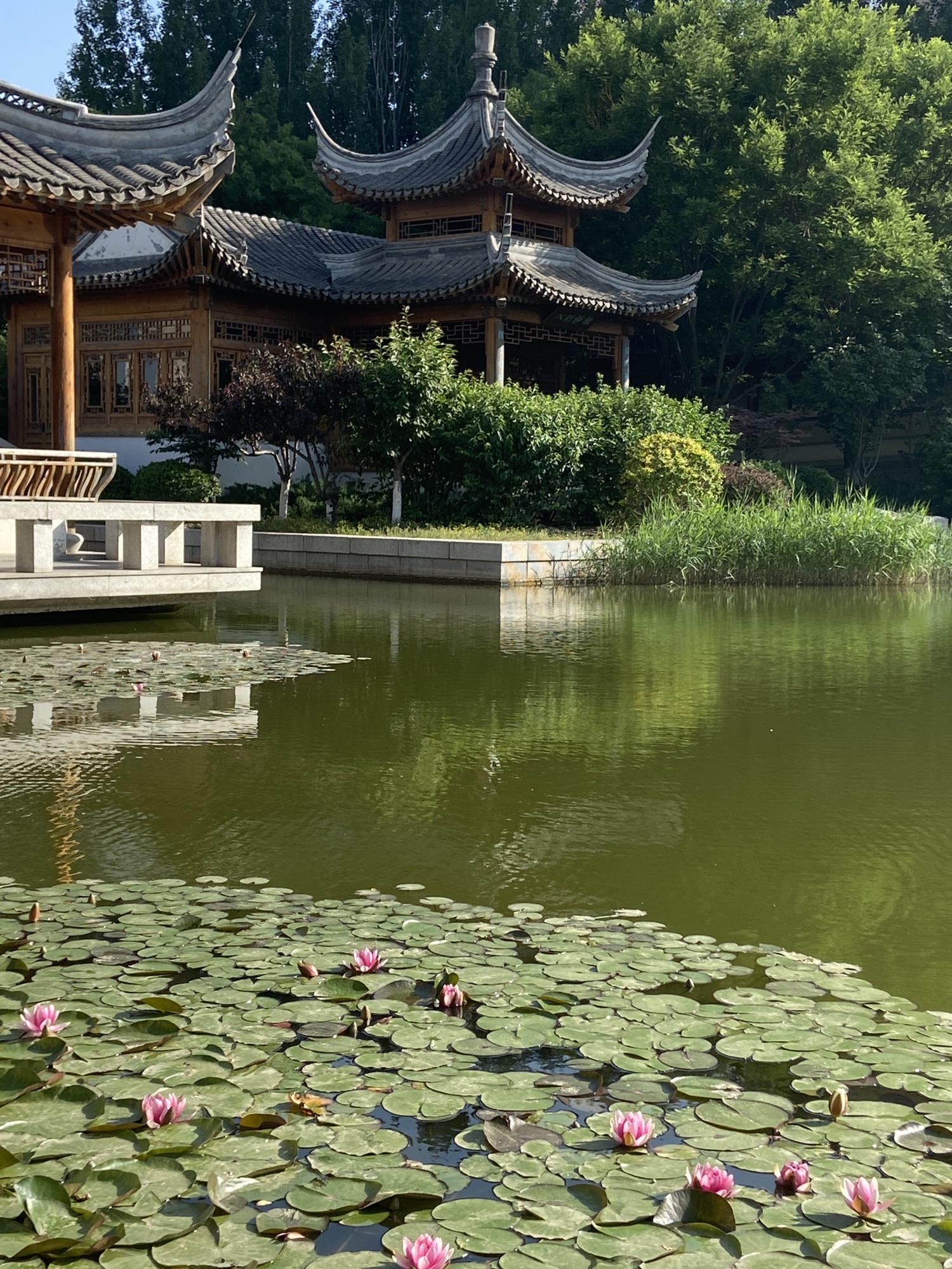 南普公园旅行图片 1