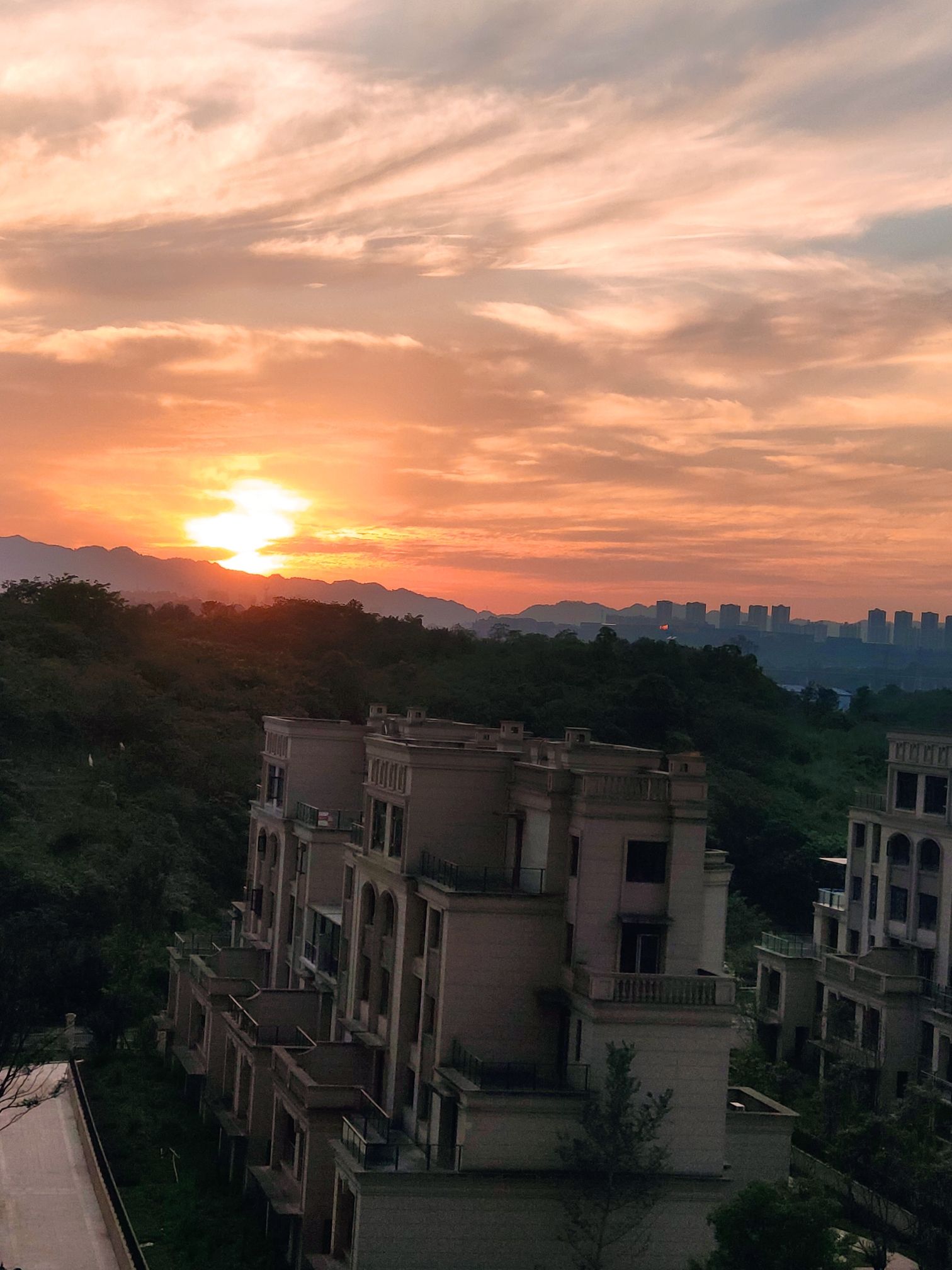 九龙西城陶家生态公园旅行图片 2