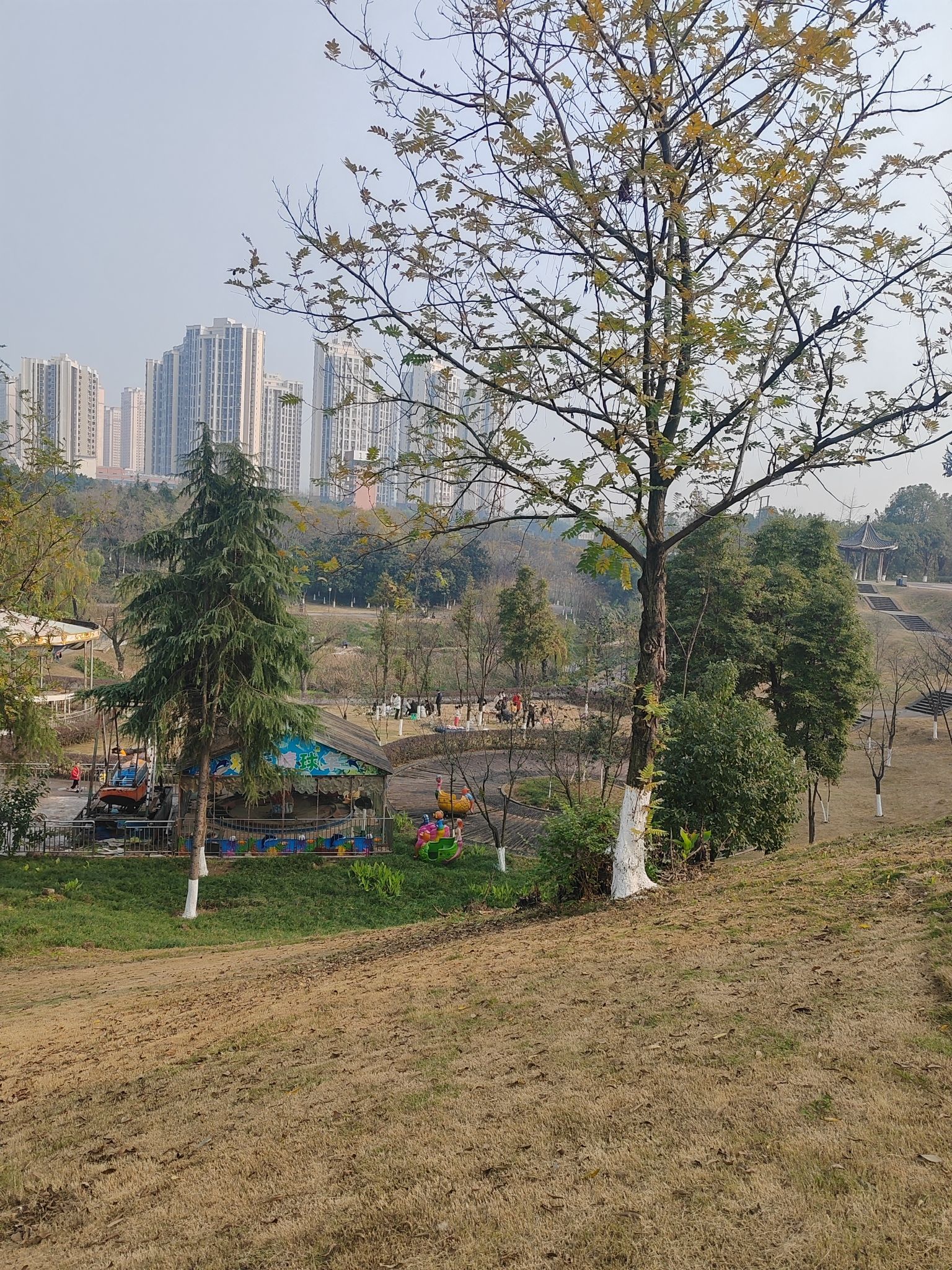 九龙西城陶家生态公园旅行图片 1