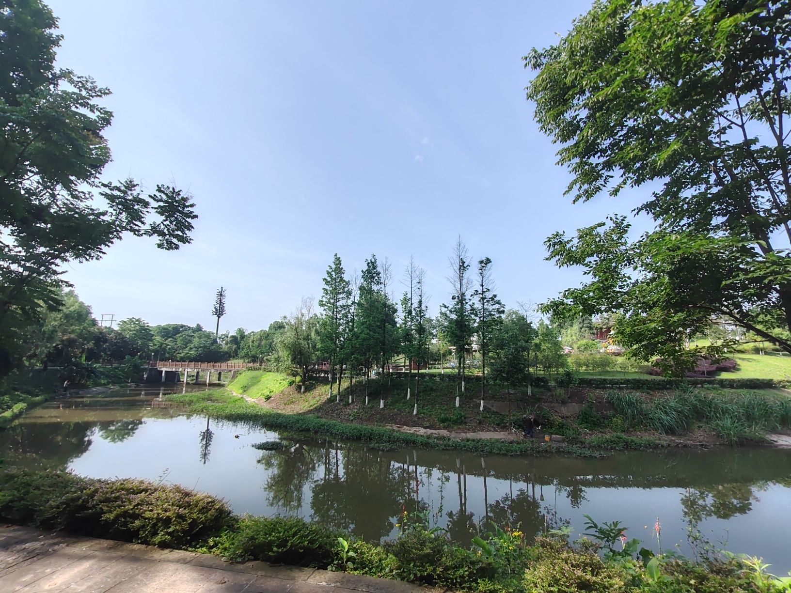 九龙西城陶家生态公园旅行图片 1