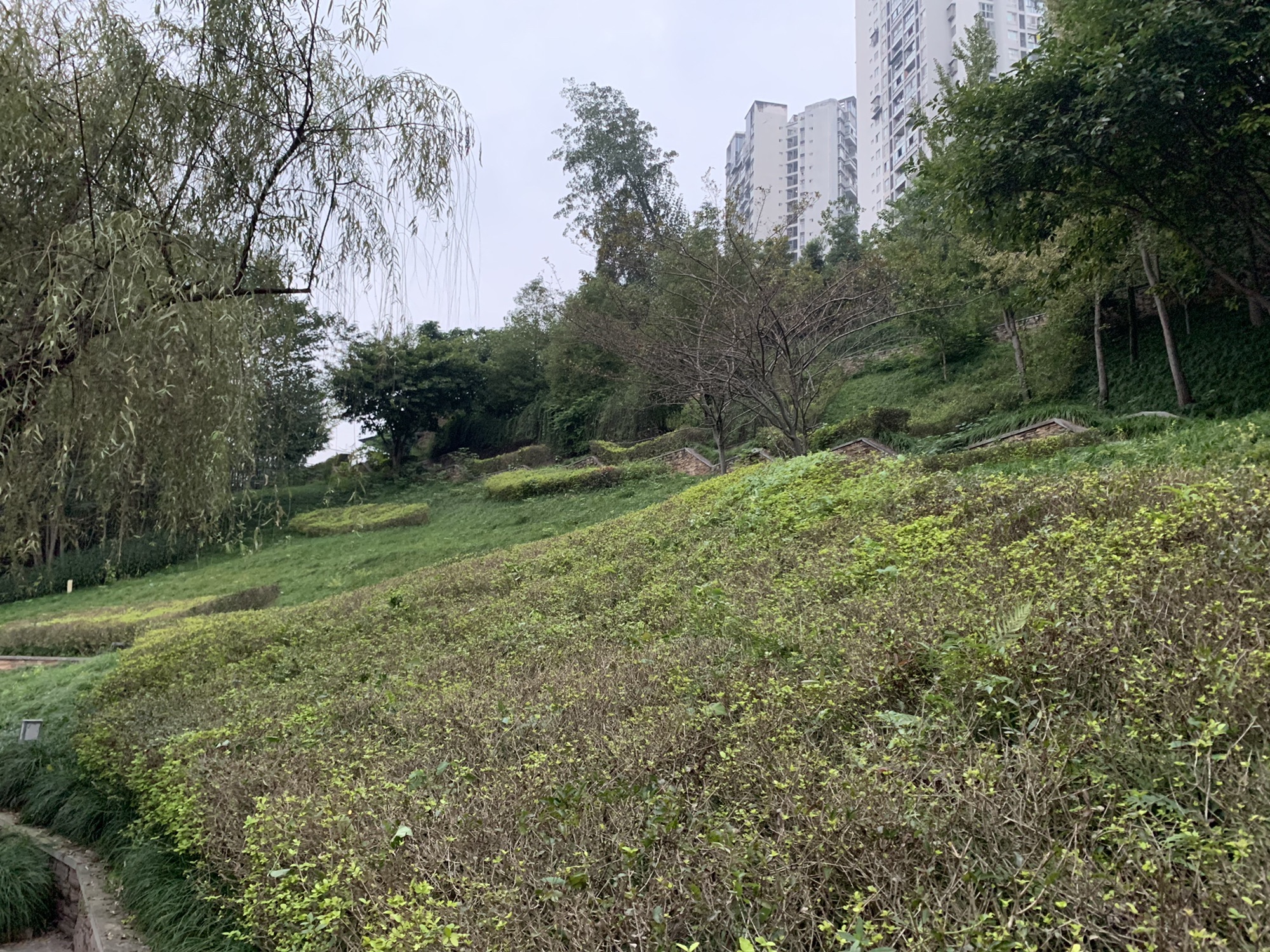 盘溪河滨河公园旅行图片 3
