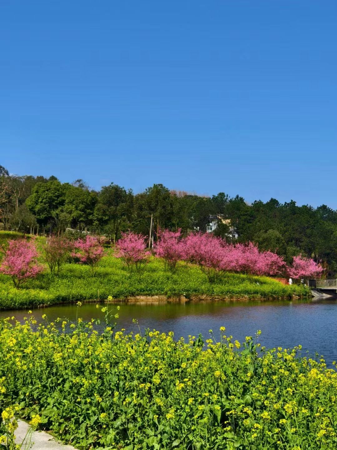 云林天乡风景区旅行图片 1