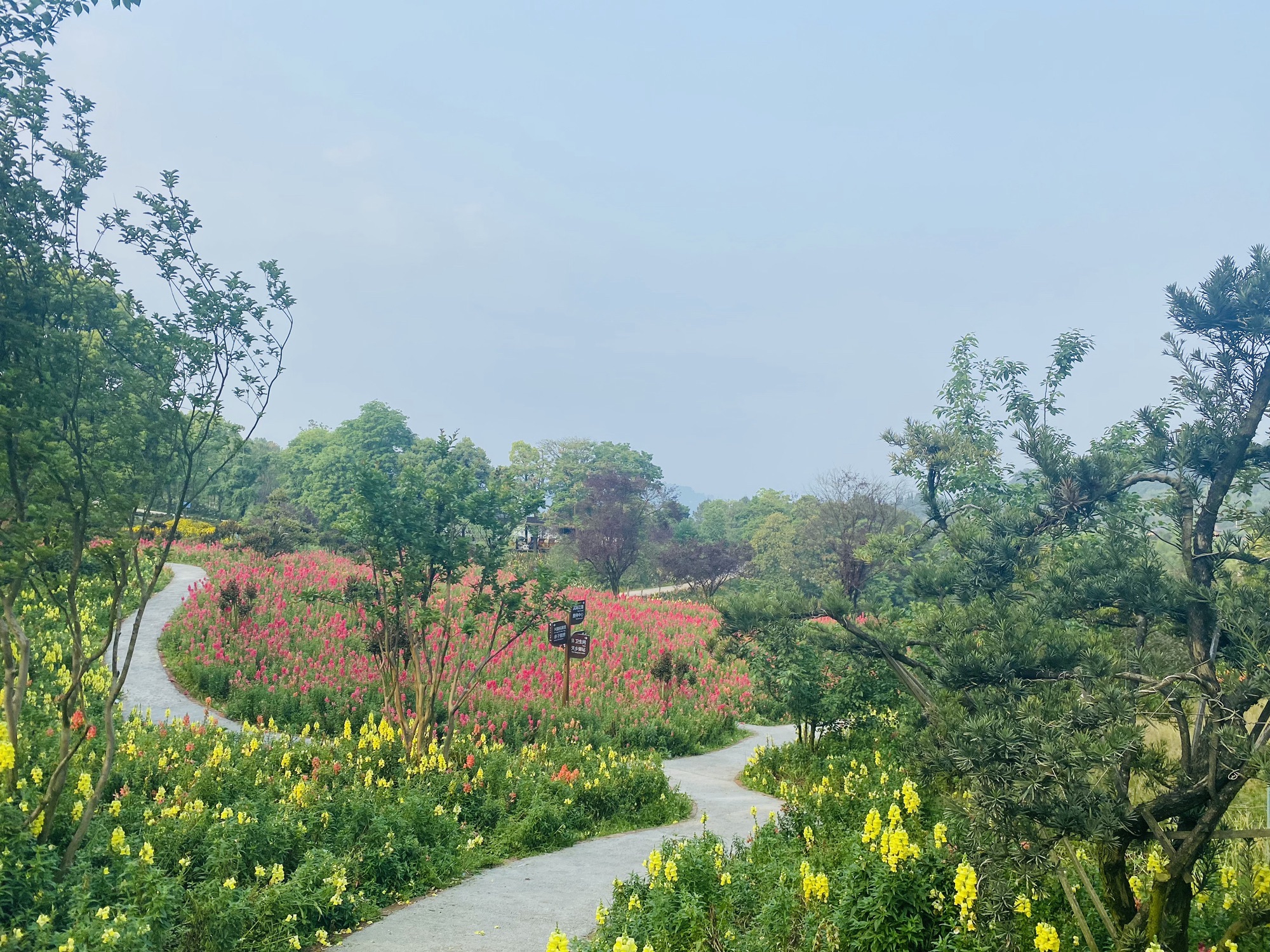 云林天乡风景区旅行图片 1