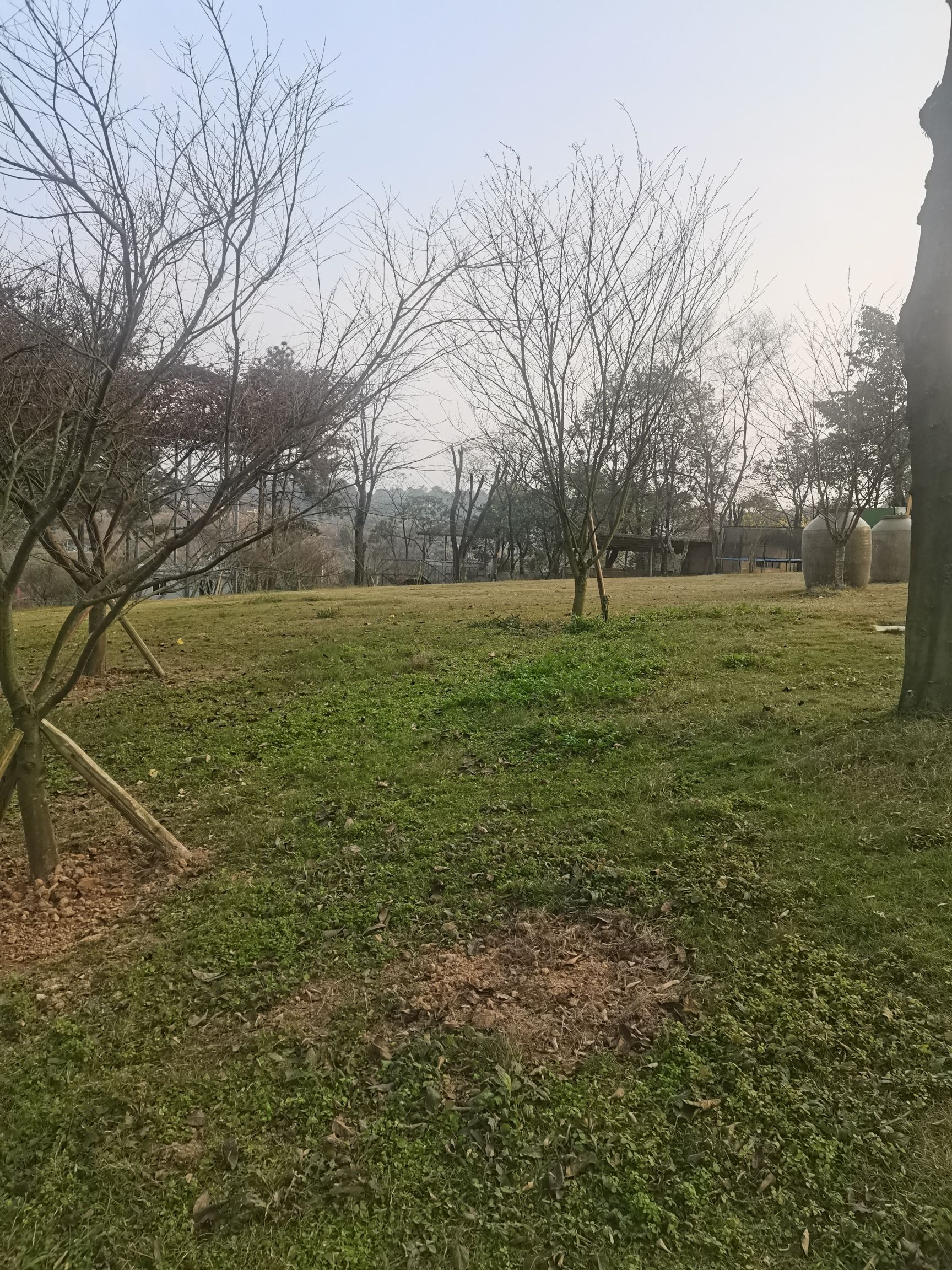 云林天乡风景区旅行图片 3
