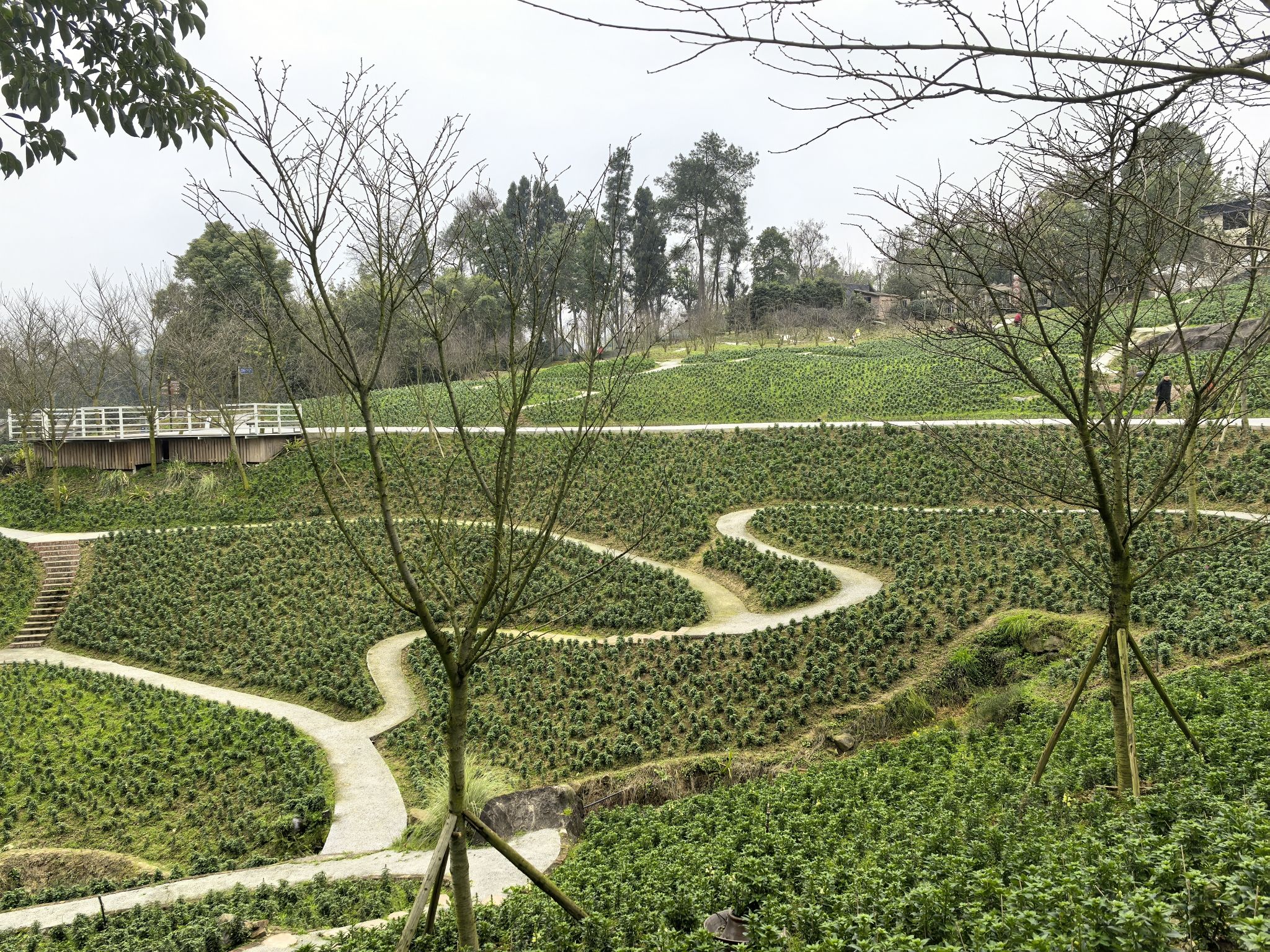 云林天乡风景区旅行图片 1