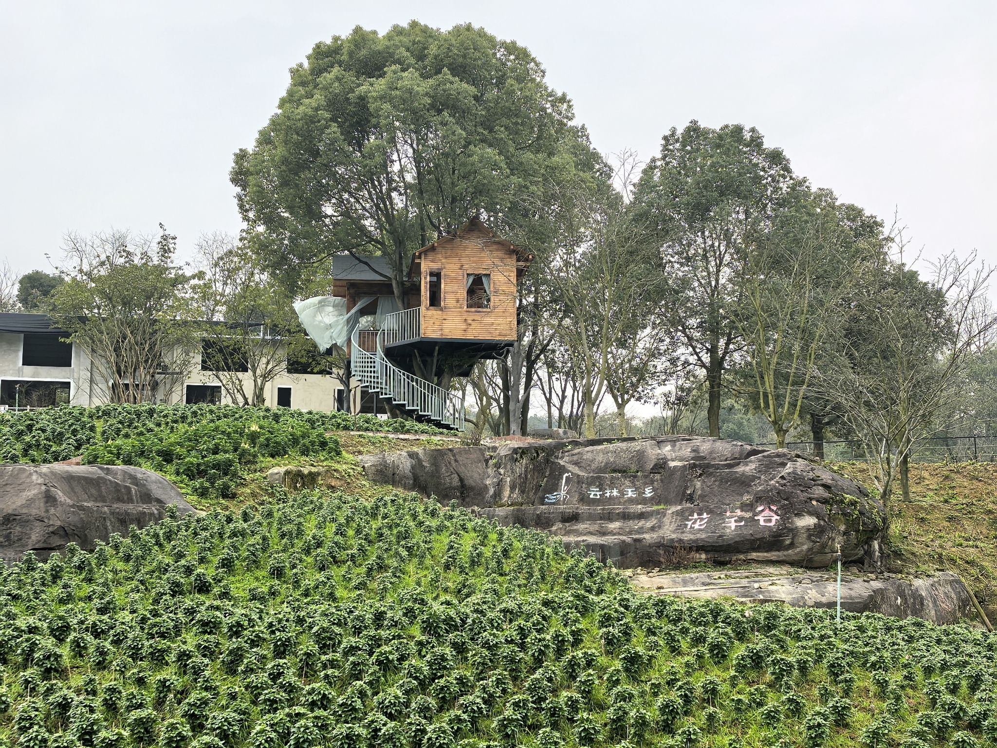 云林天乡风景区旅行图片 2