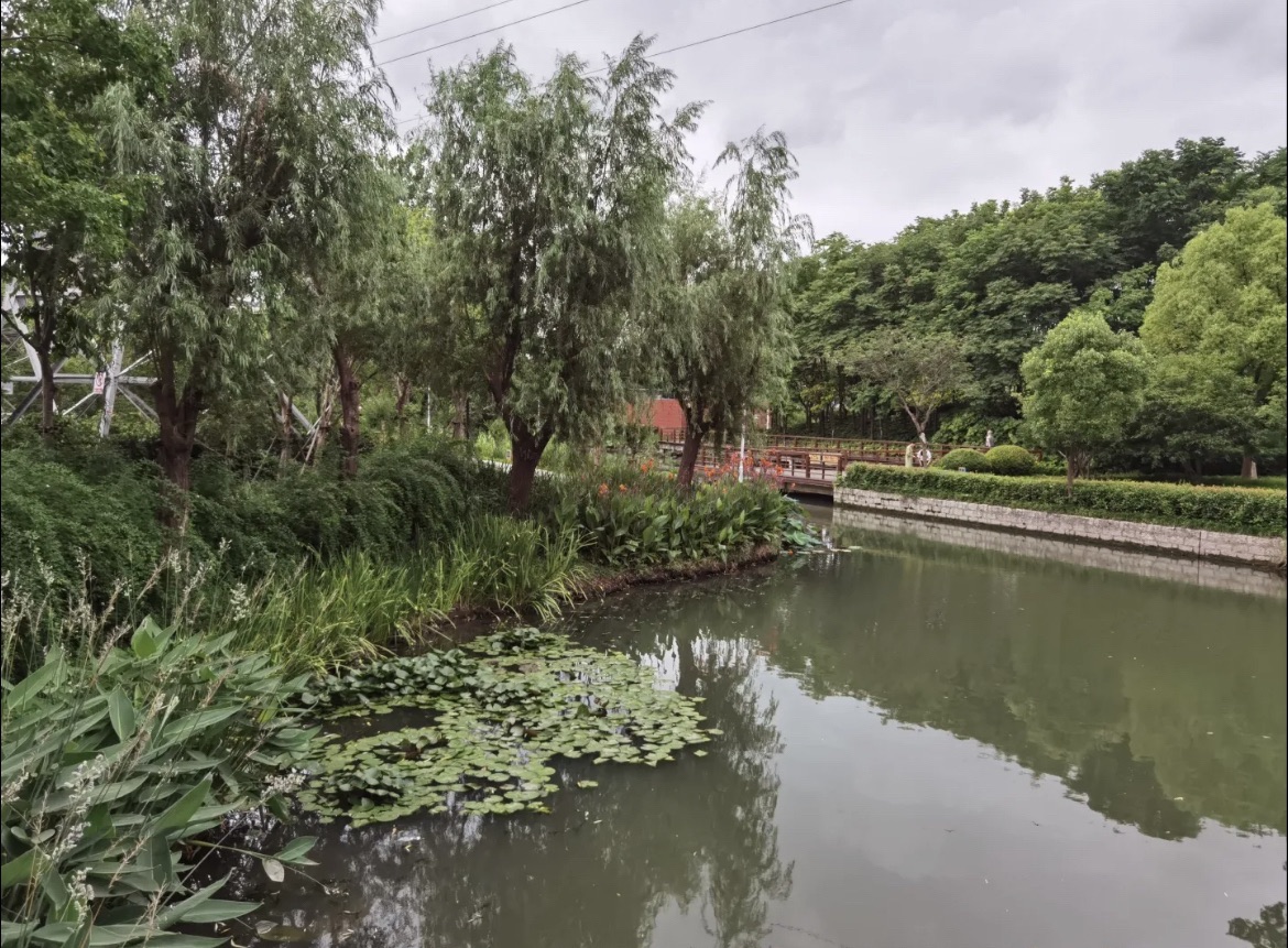 锦尊体育公园旅行图片 2