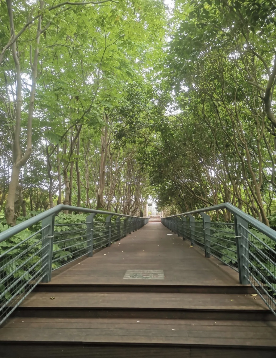 锦尊体育公园旅行图片 3