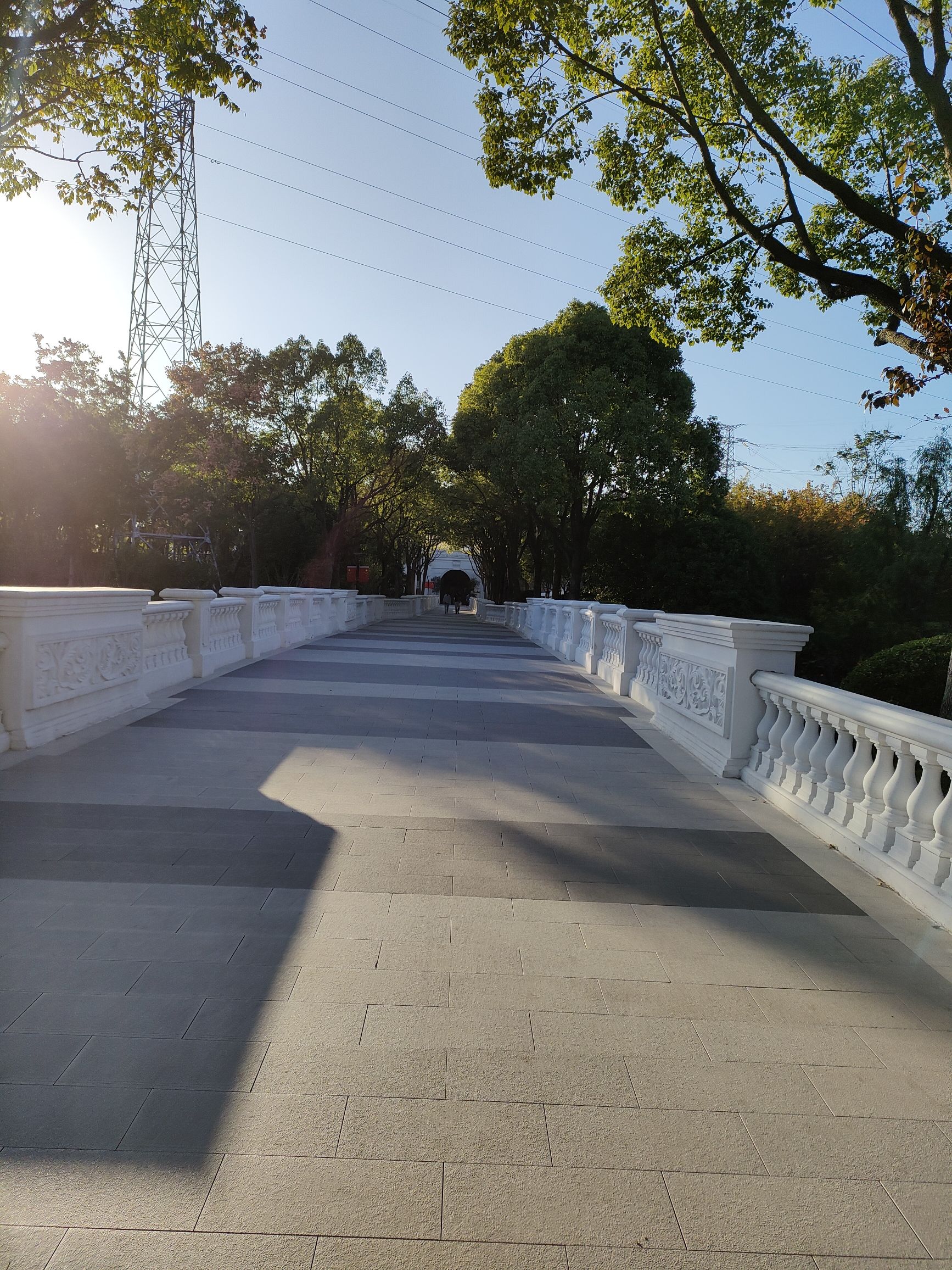 锦尊体育公园旅行图片 3