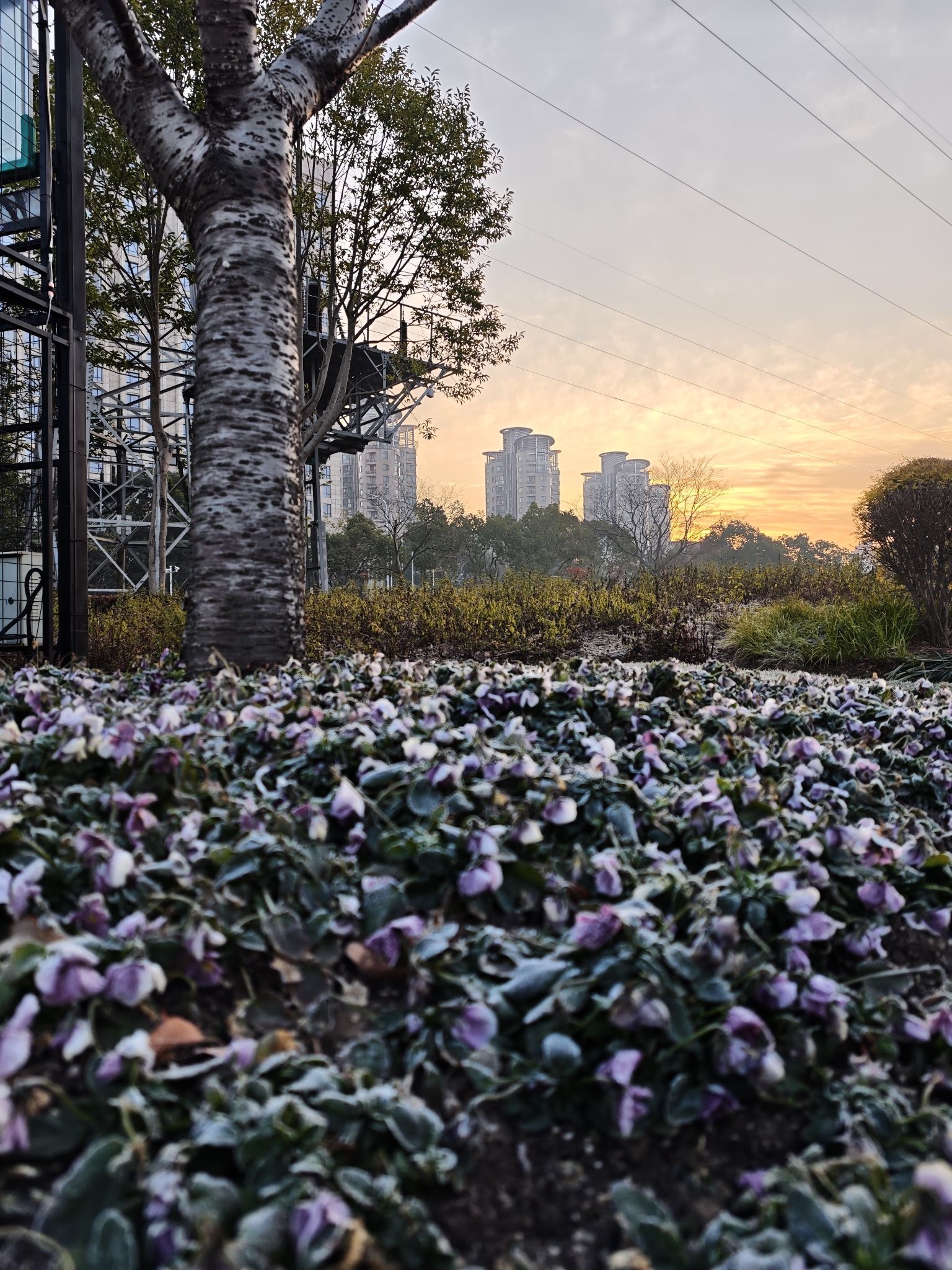 锦尊体育公园旅行图片 2