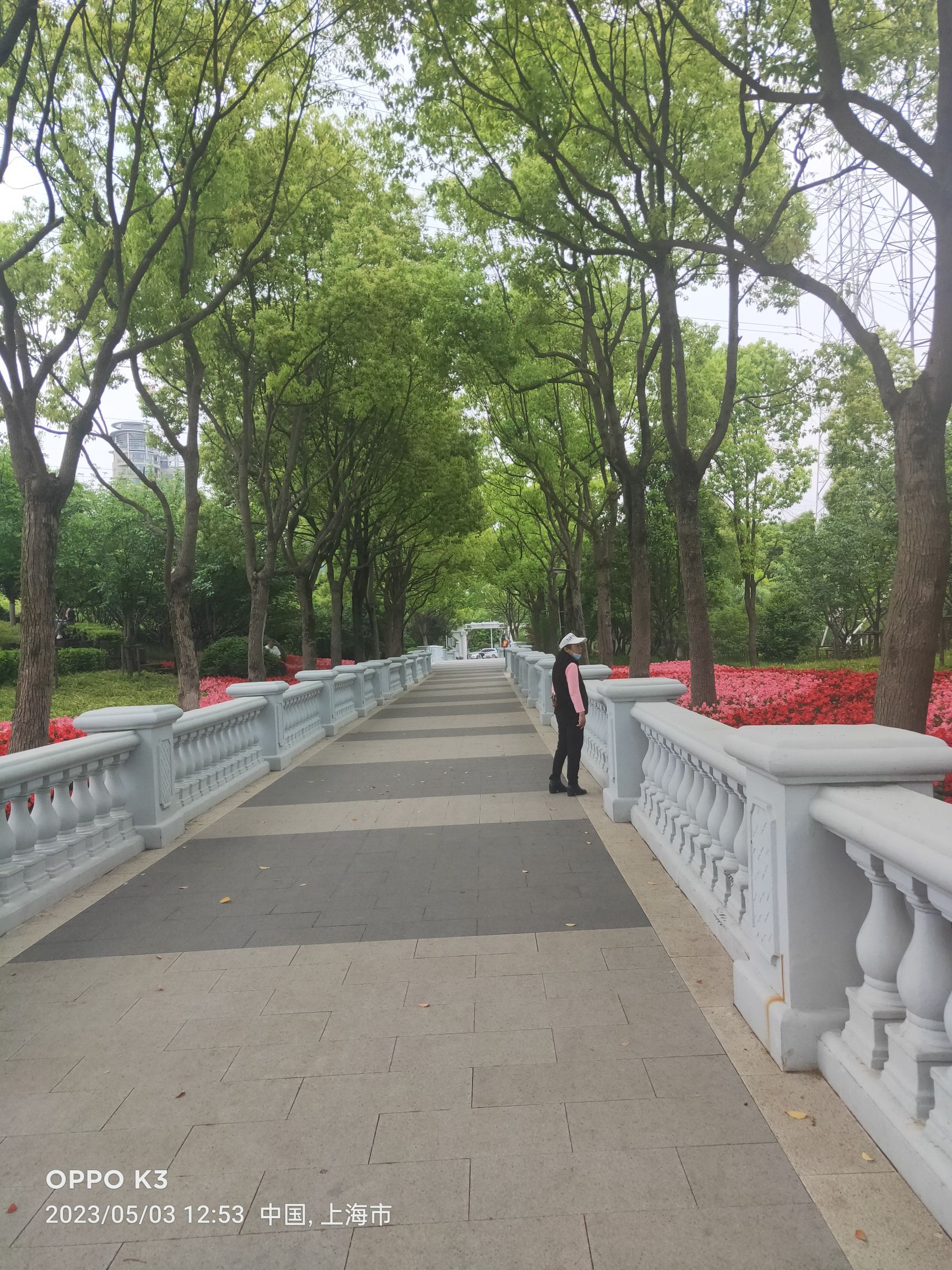 锦尊体育公园旅行图片 1