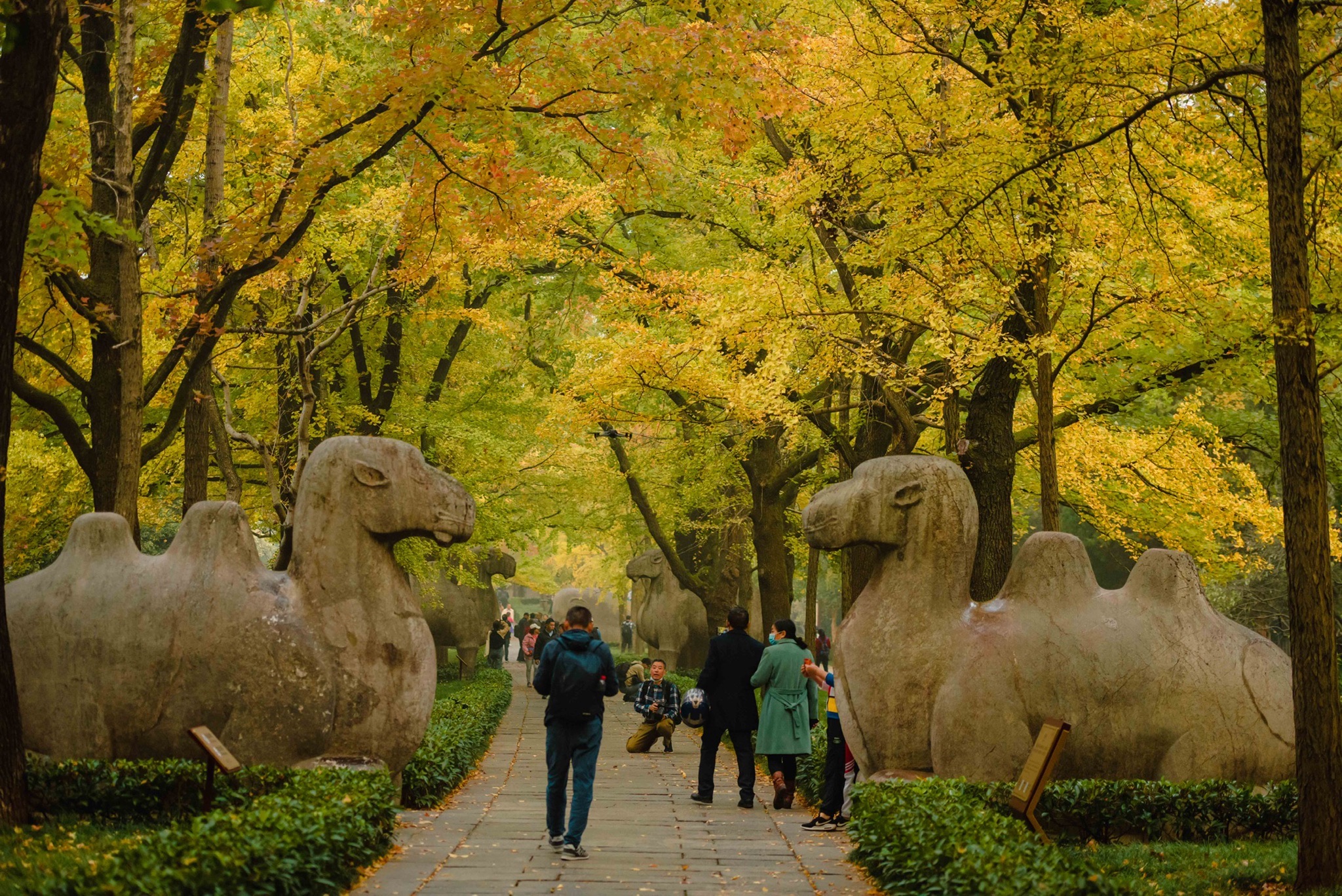 钟山风景区-石象