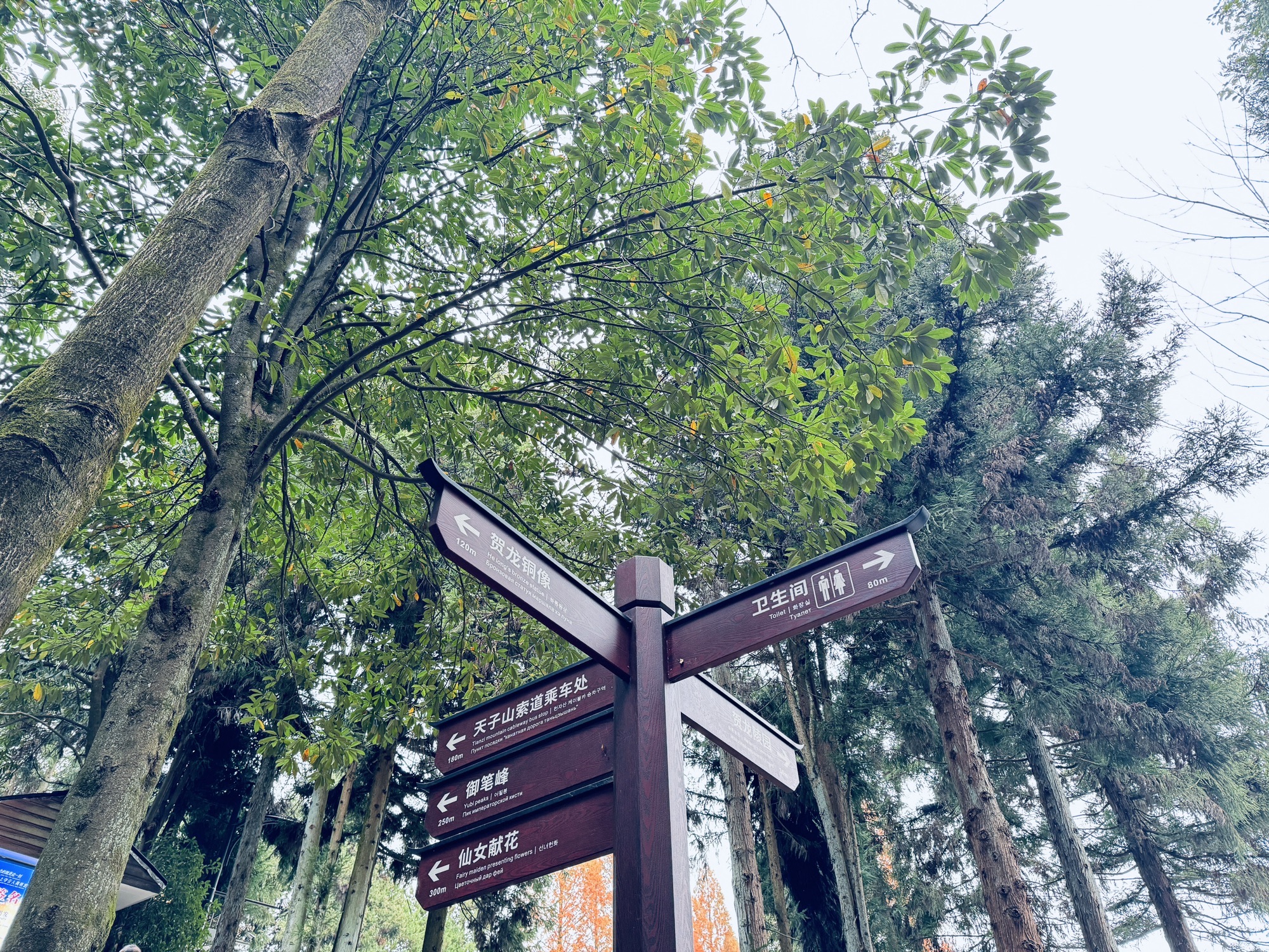 贺龙雕像旅行图片 2