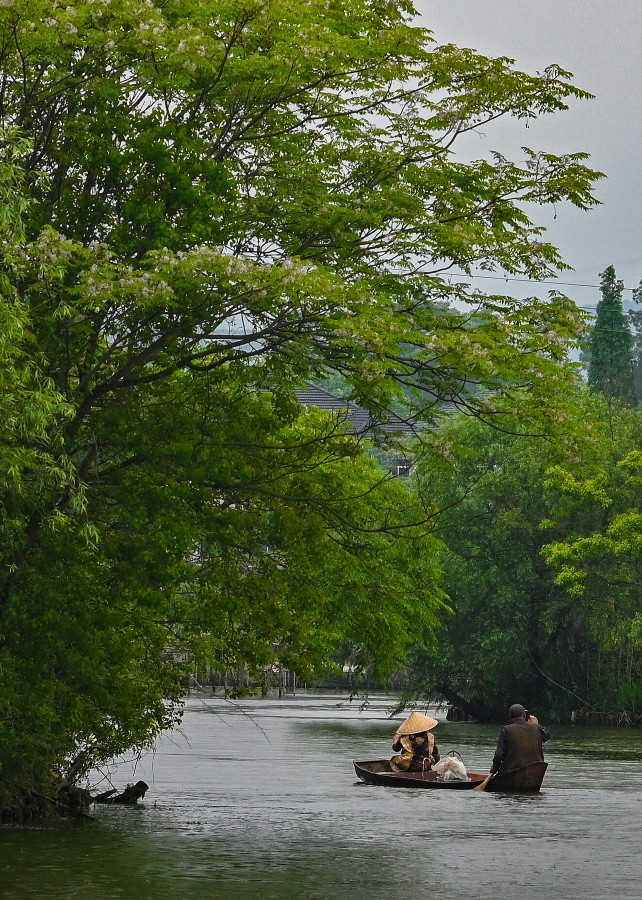 白塔湖国家湿地公园旅行图片 3
