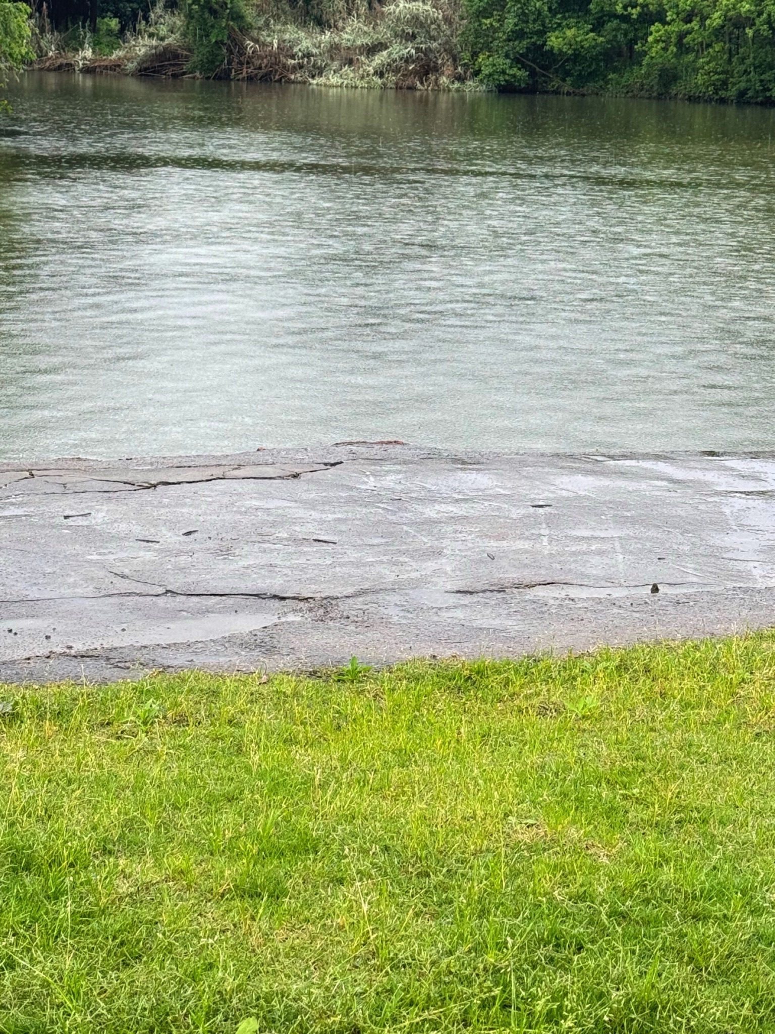 白塔湖国家湿地公园旅行图片 1
