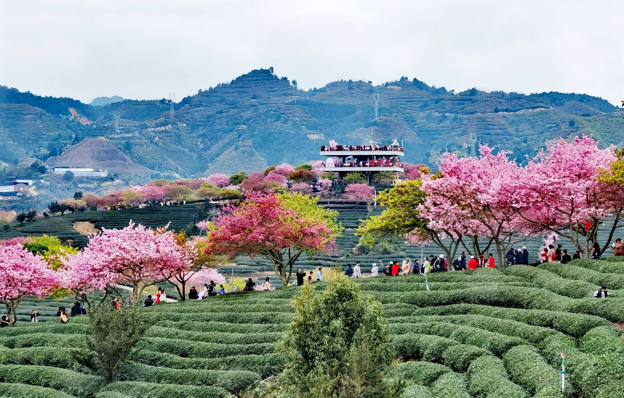 台缘山庄百福园