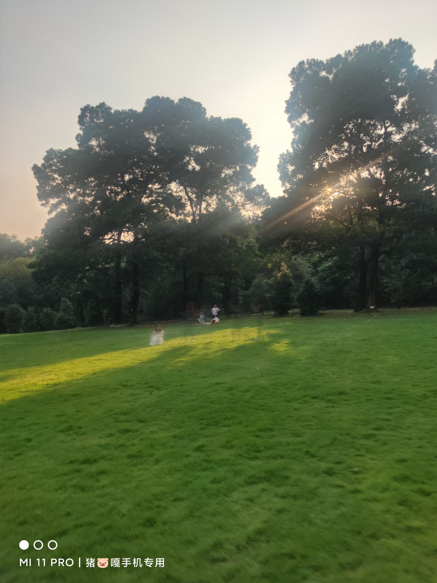 佛山植物园旅行图片 2