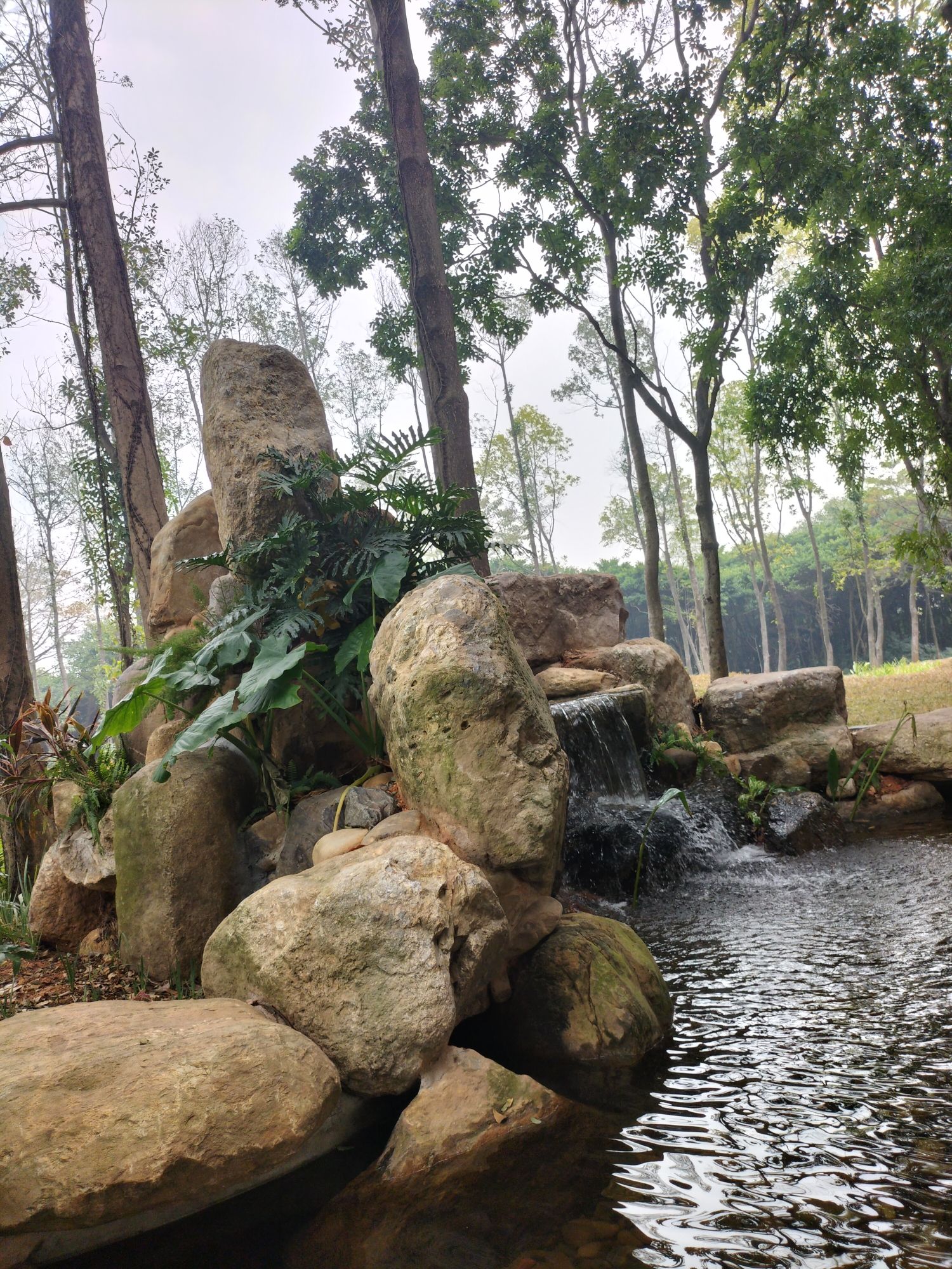 佛山植物园旅行图片 2