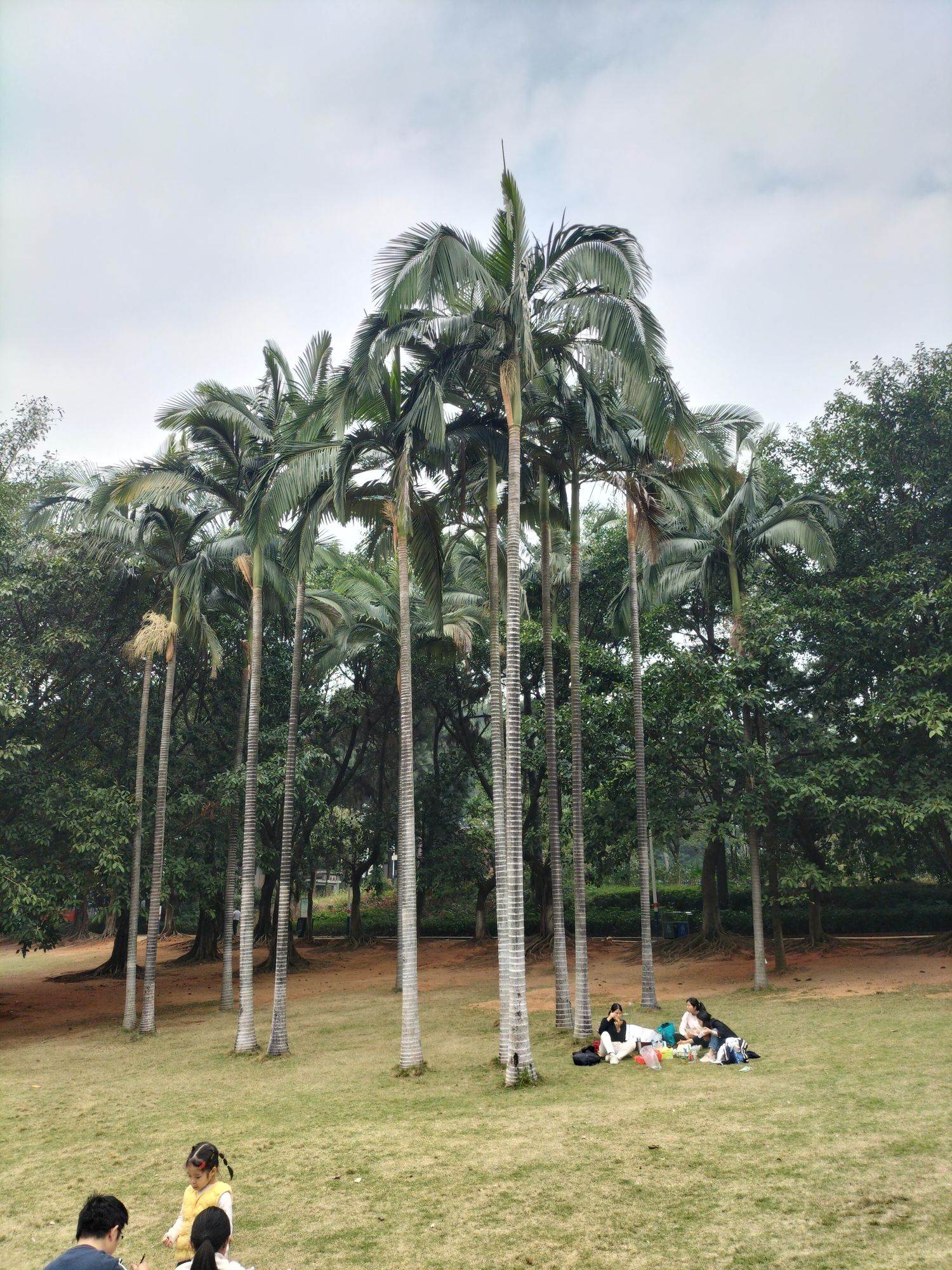 佛山植物园旅行图片 1
