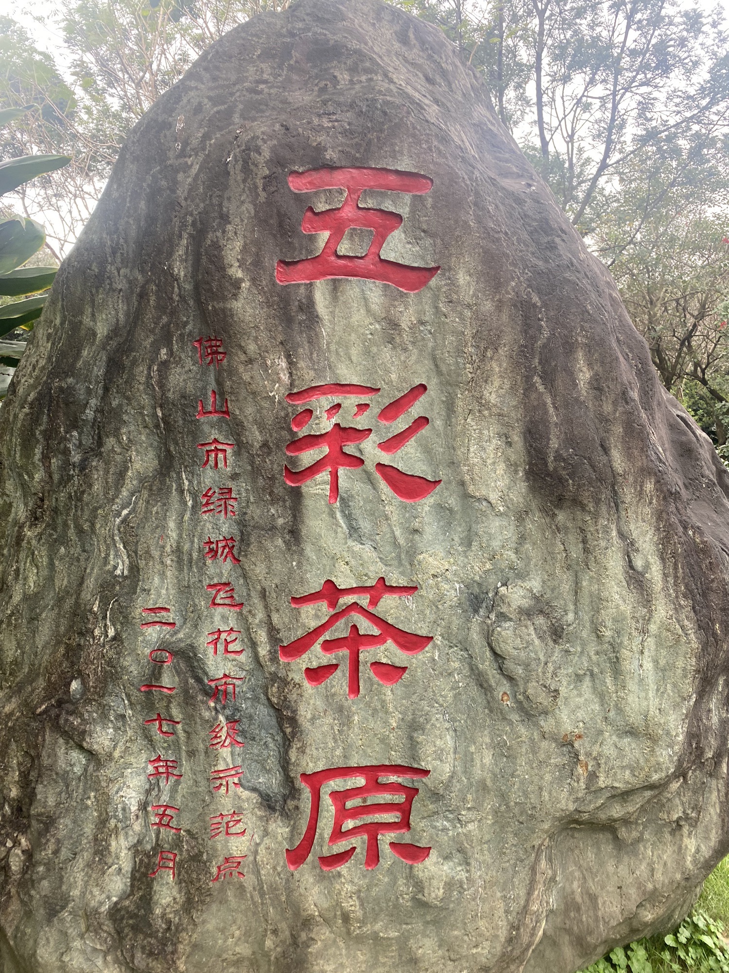 佛山植物园旅行图片 3