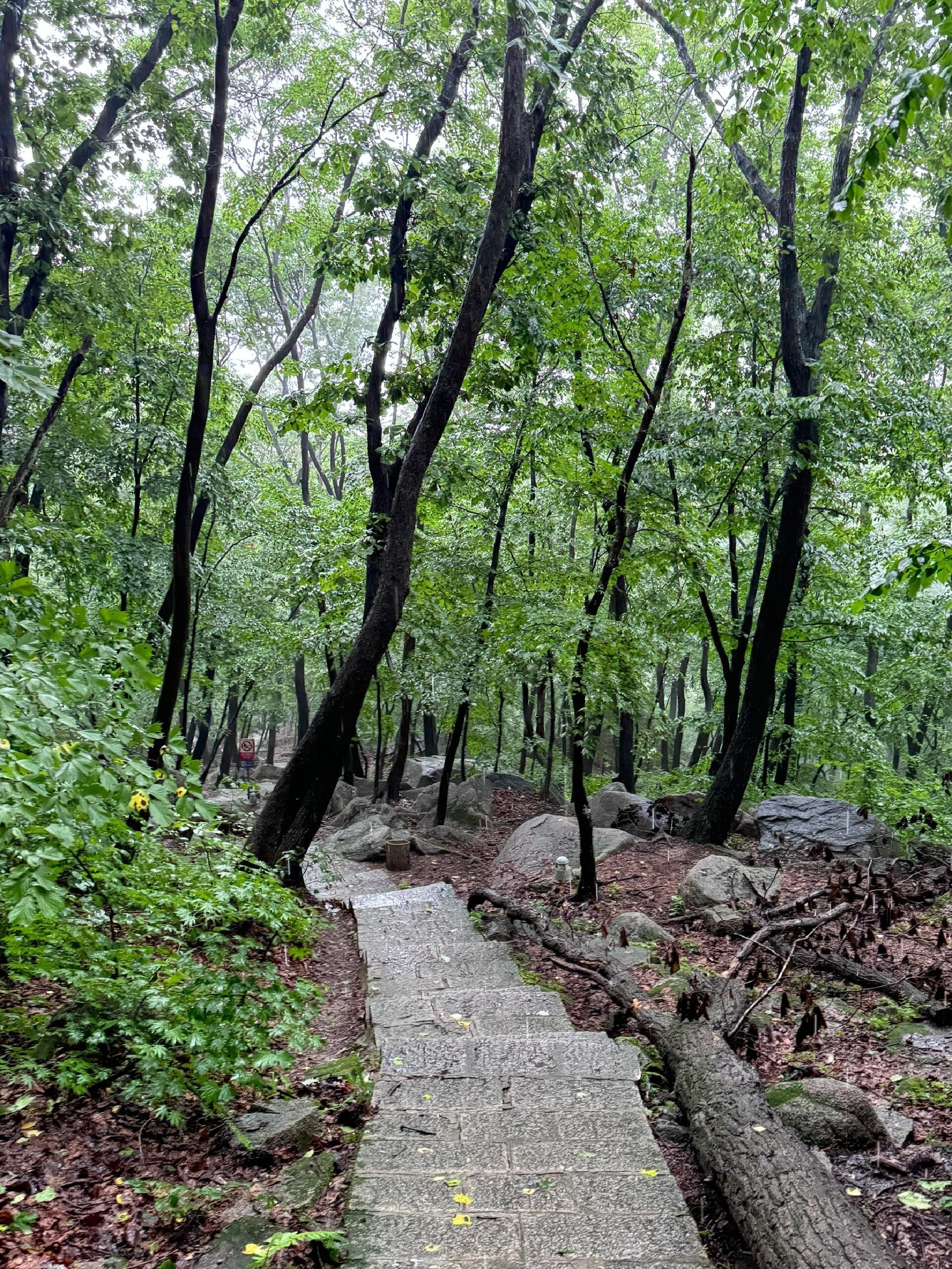 凤凰山景区旅行图片 1