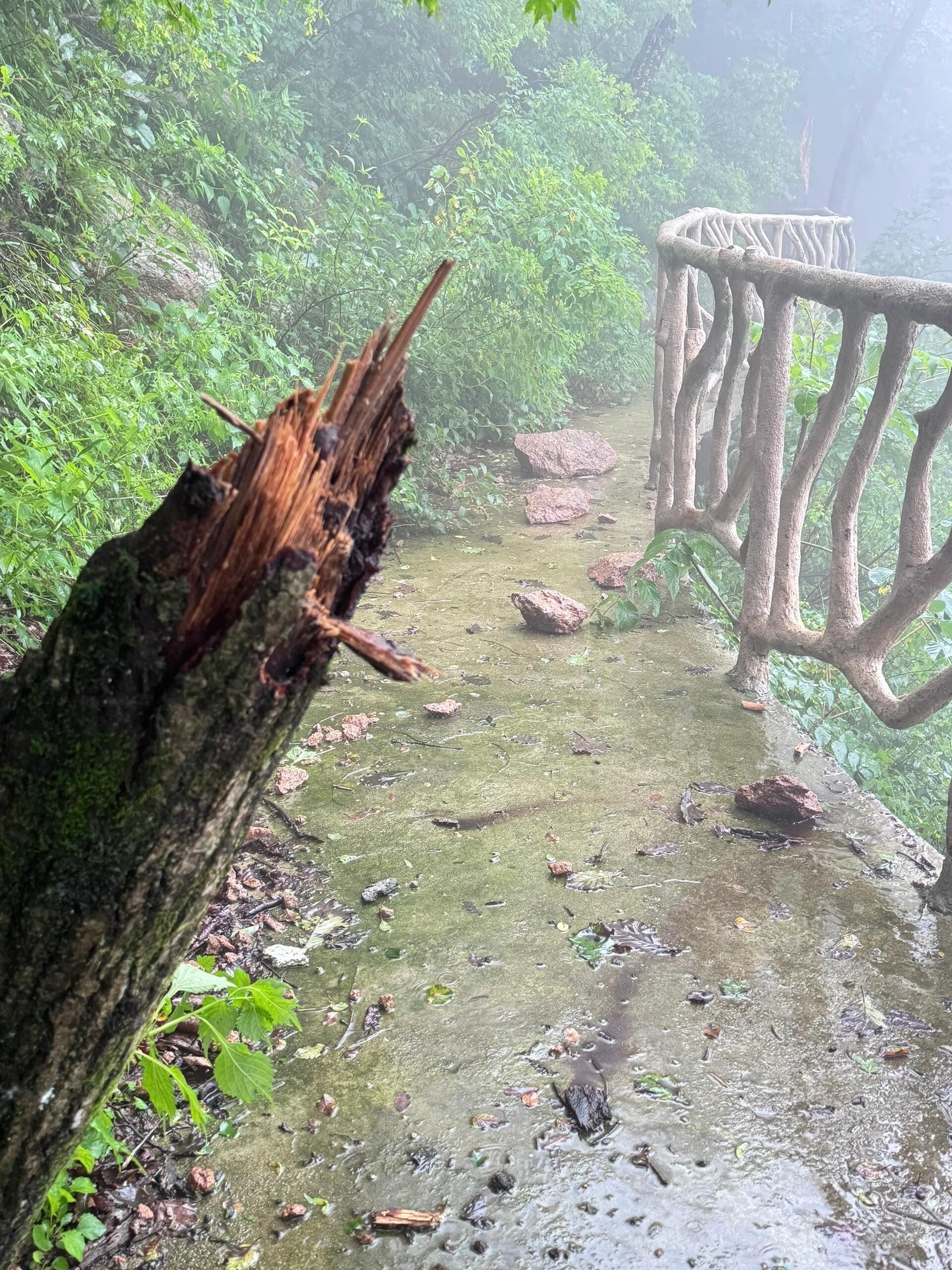 凤凰山景区旅行图片 2