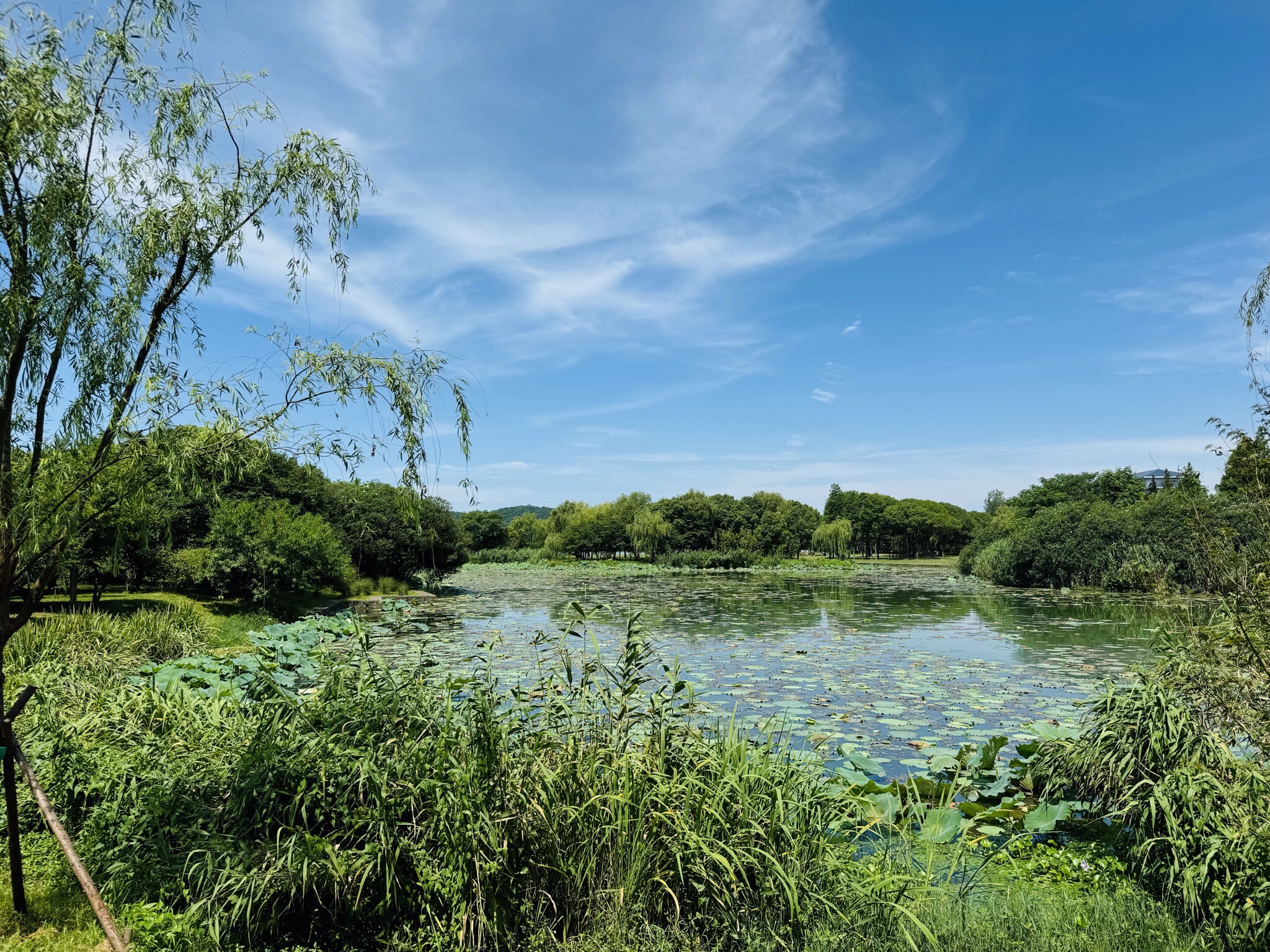 蠡湖国家湿地公园旅行图片 3