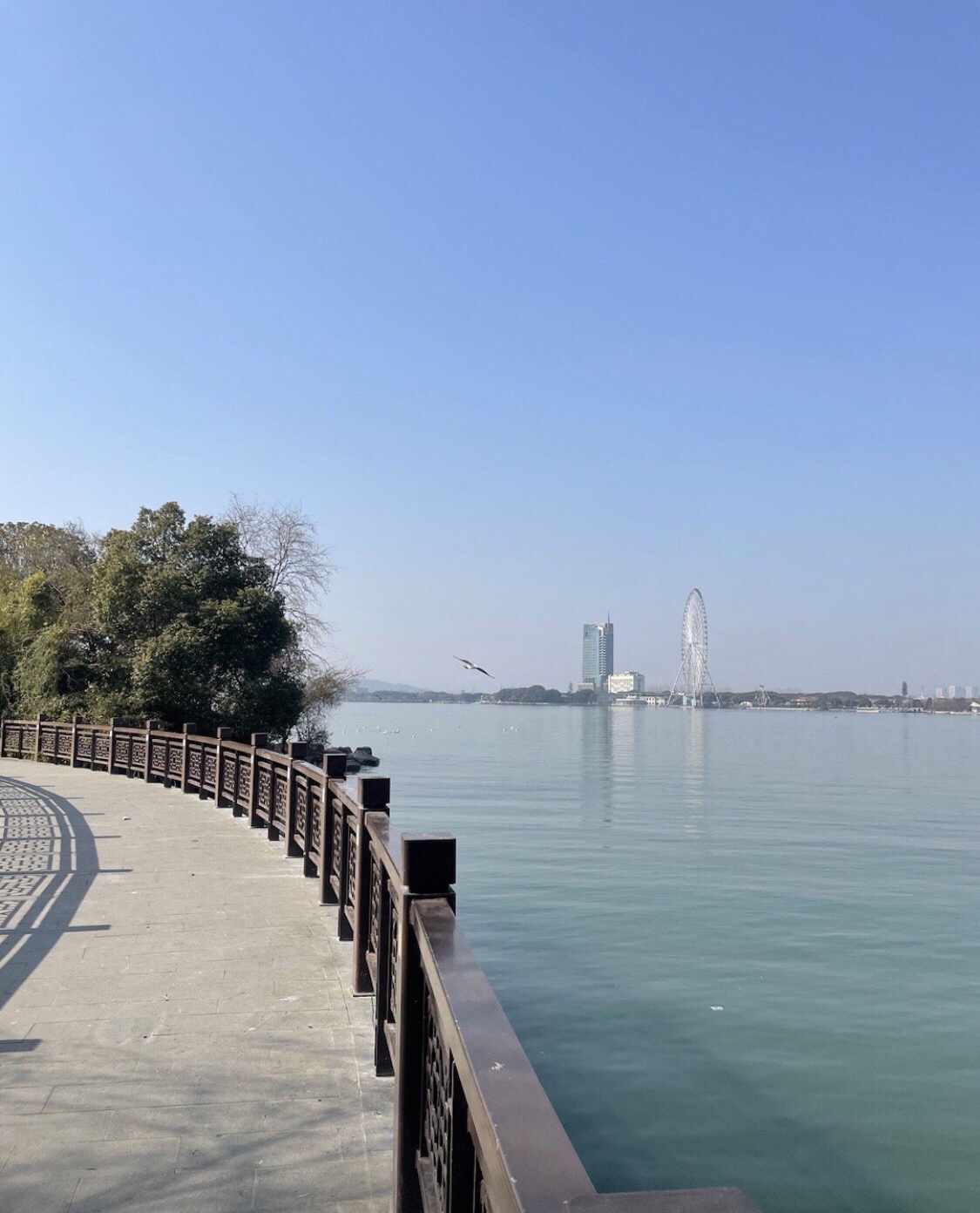 蠡湖国家湿地公园旅行图片 2