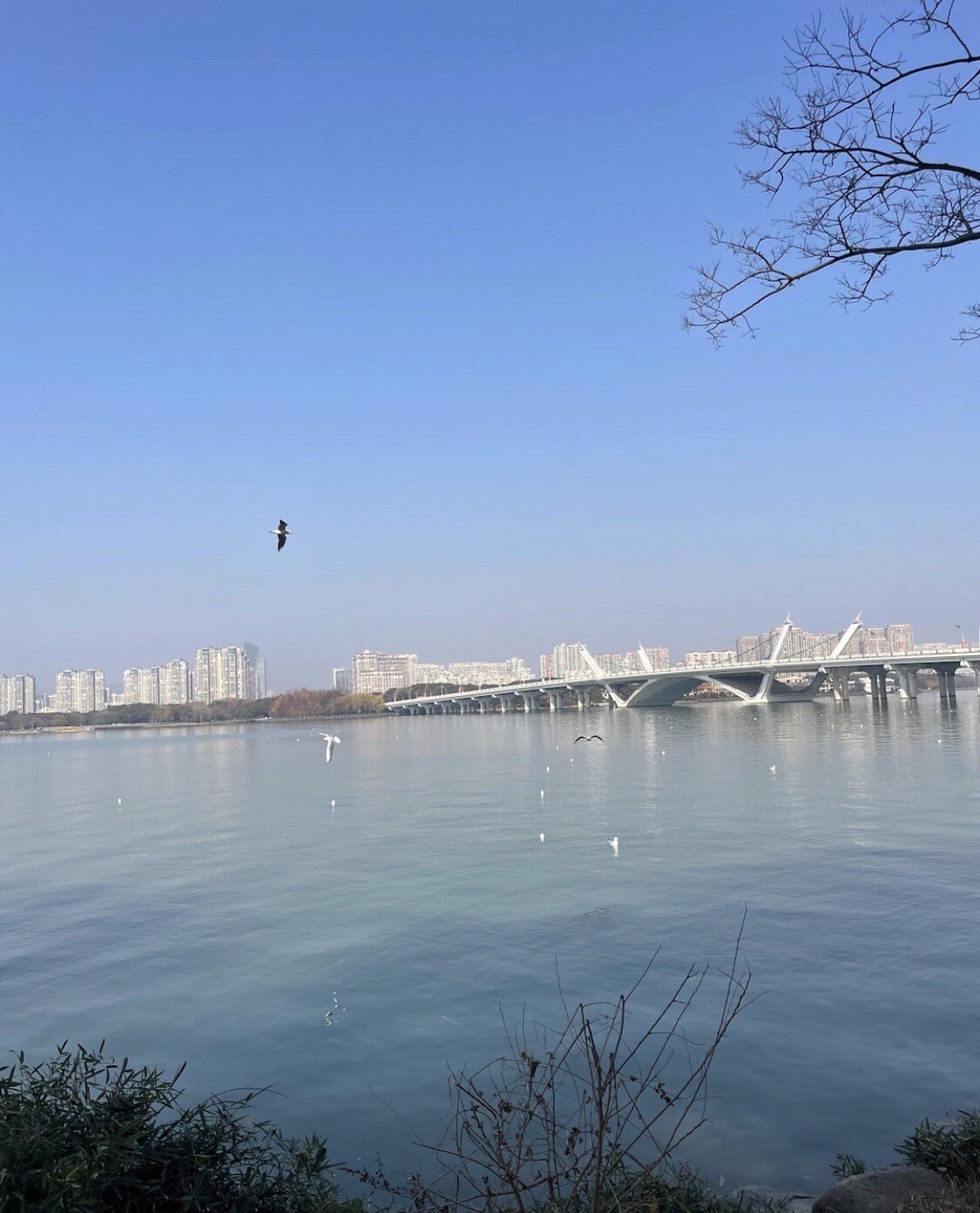 蠡湖国家湿地公园旅行图片 3