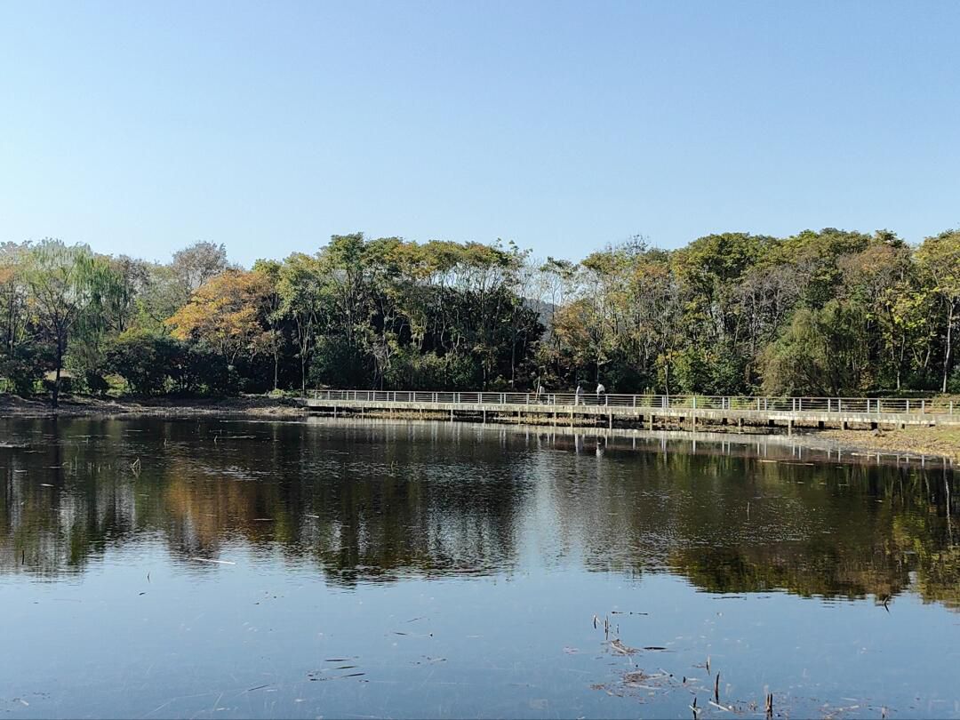 蠡湖国家湿地公园旅行图片 1