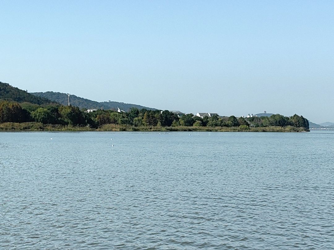 蠡湖国家湿地公园旅行图片 2