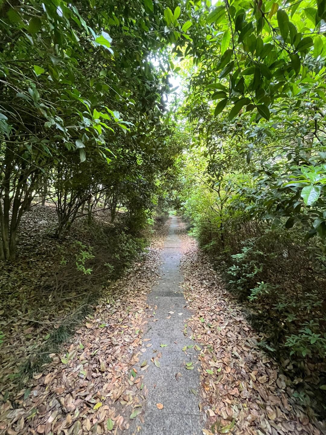 蠡湖国家湿地公园旅行图片 3