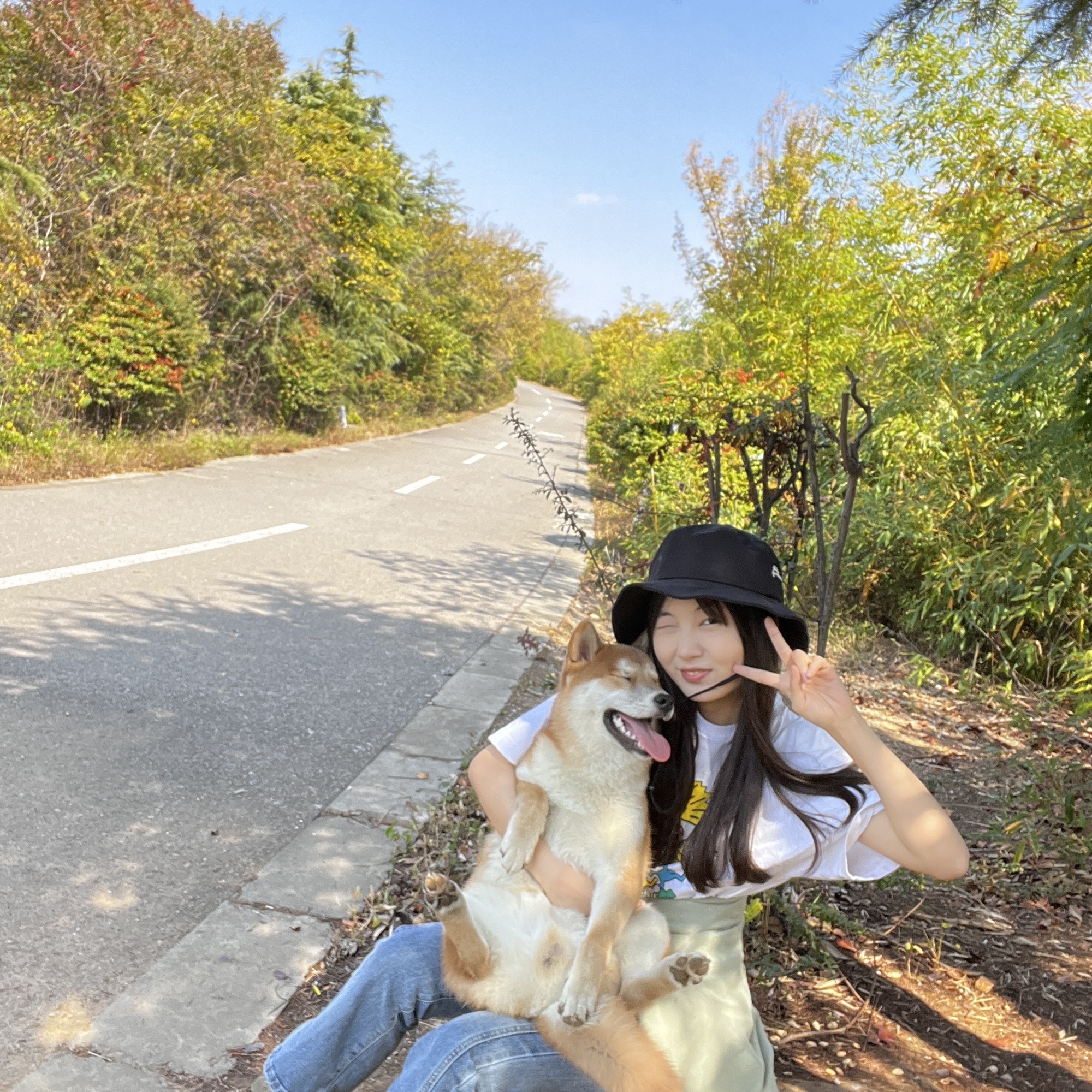 翠屏山旅行图片 2