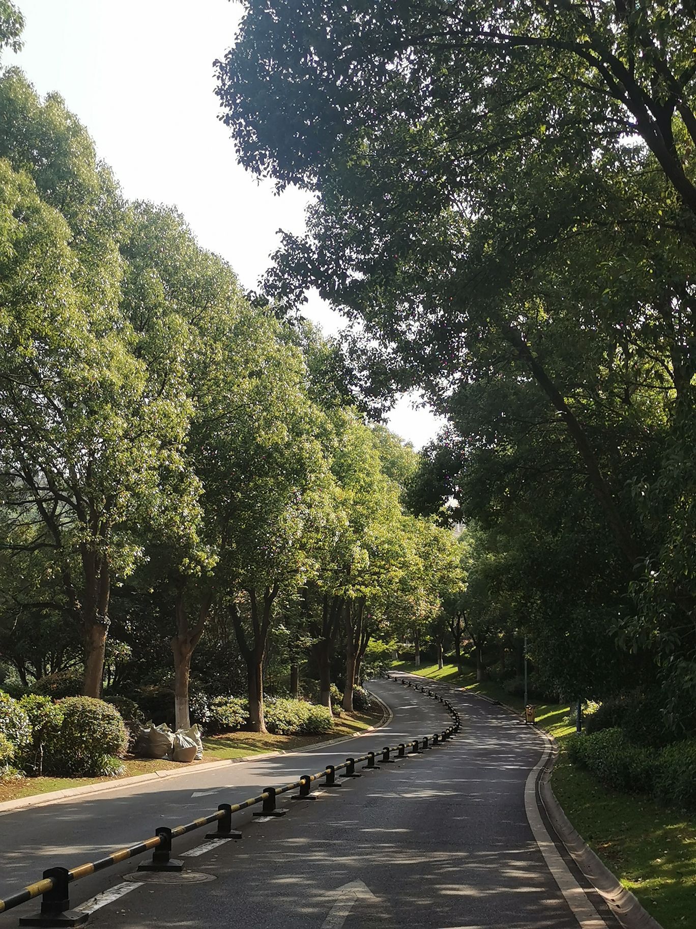 翠屏山旅行图片 2