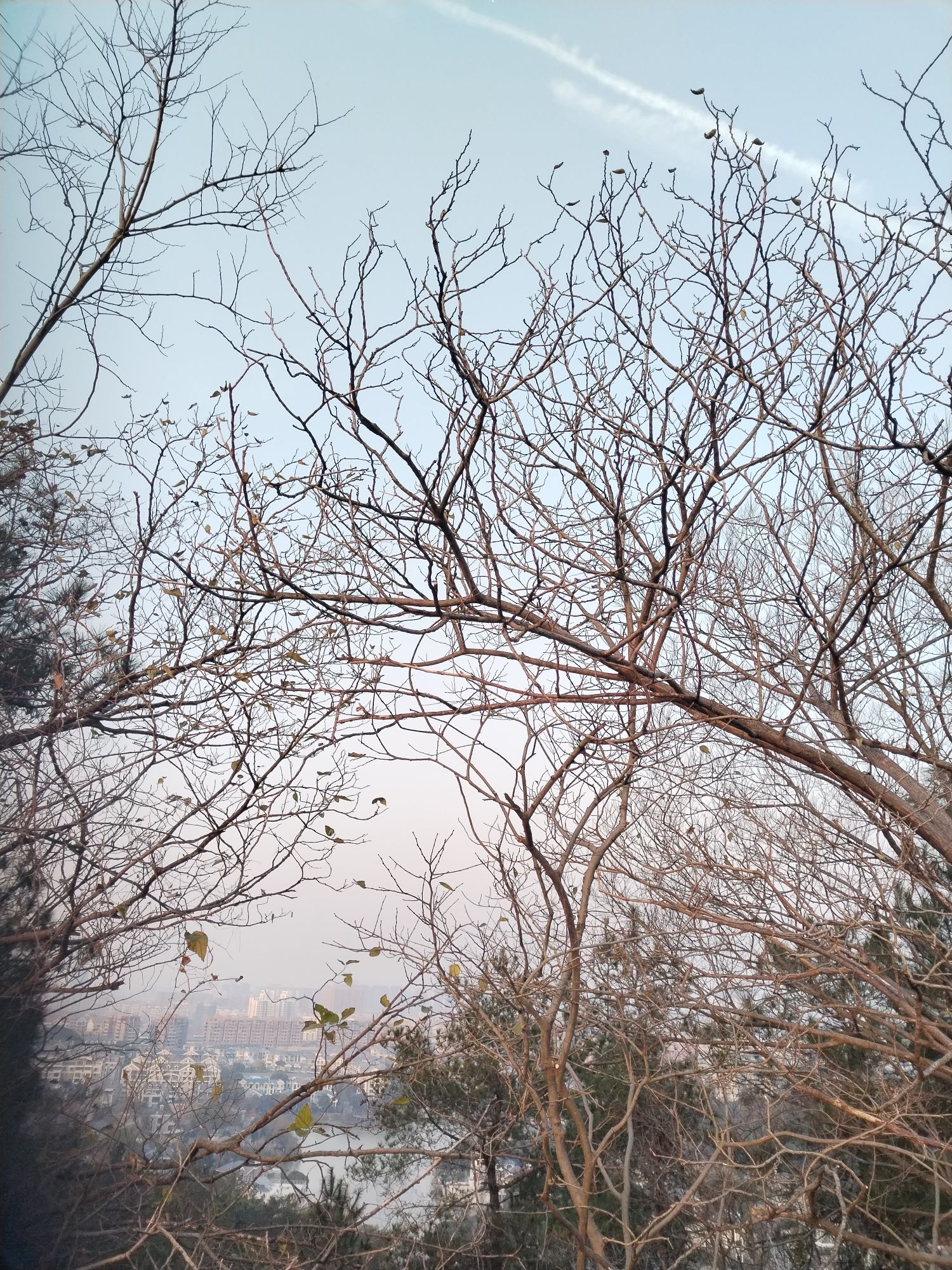 翠屏山旅行图片 1