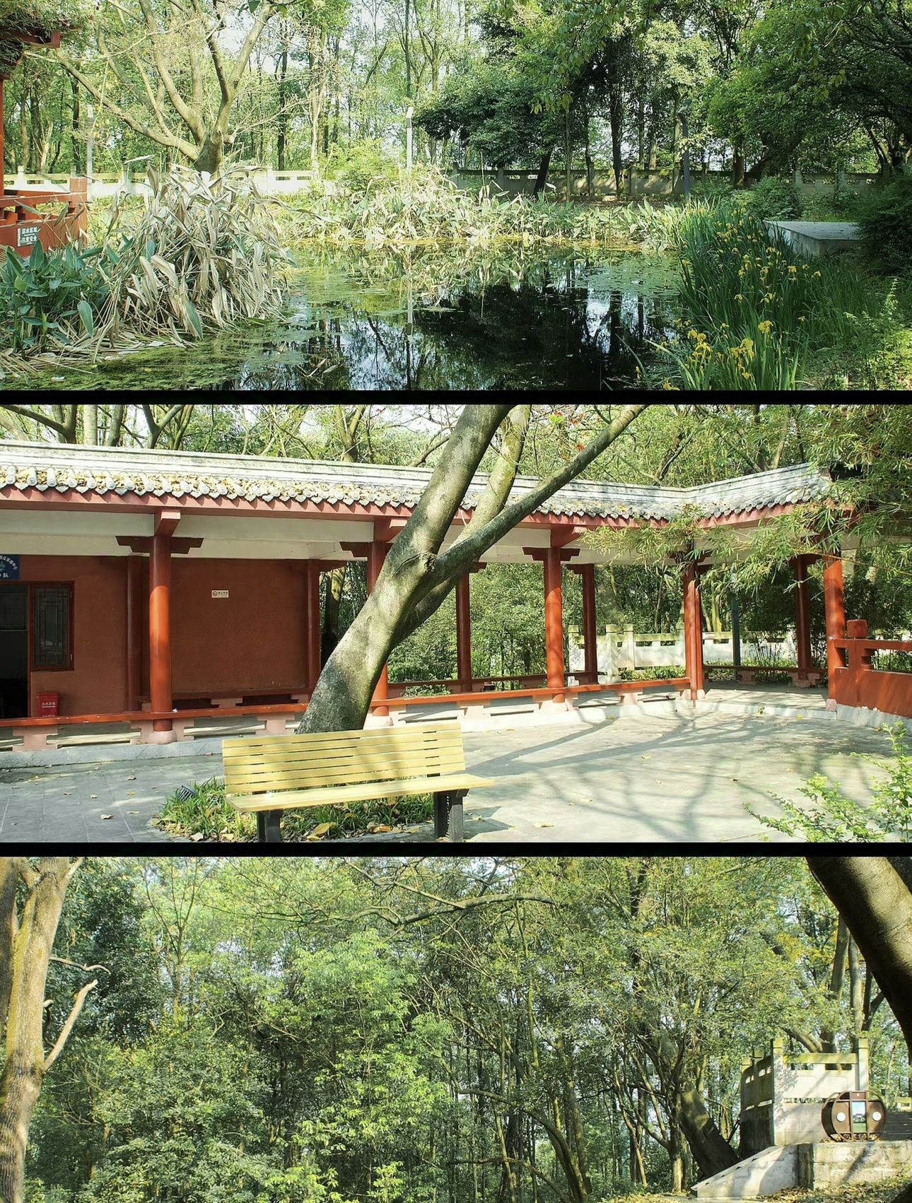 翠屏山旅行图片 1