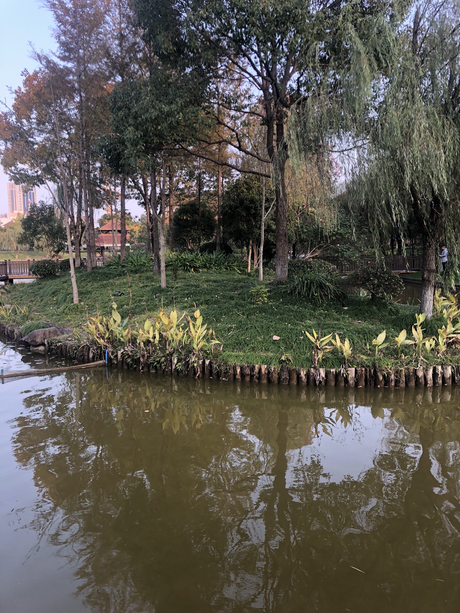 明镜公园旅行图片 2