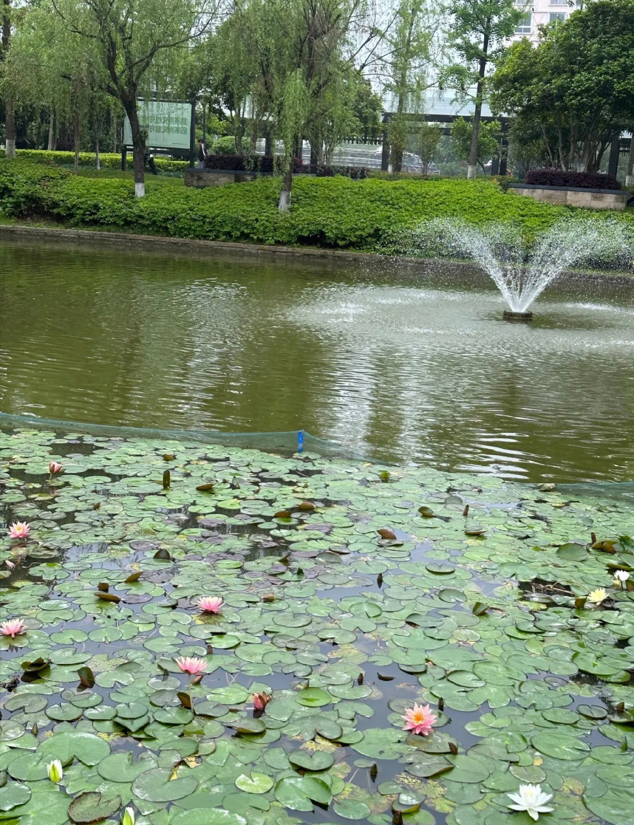 明镜公园旅行图片 1