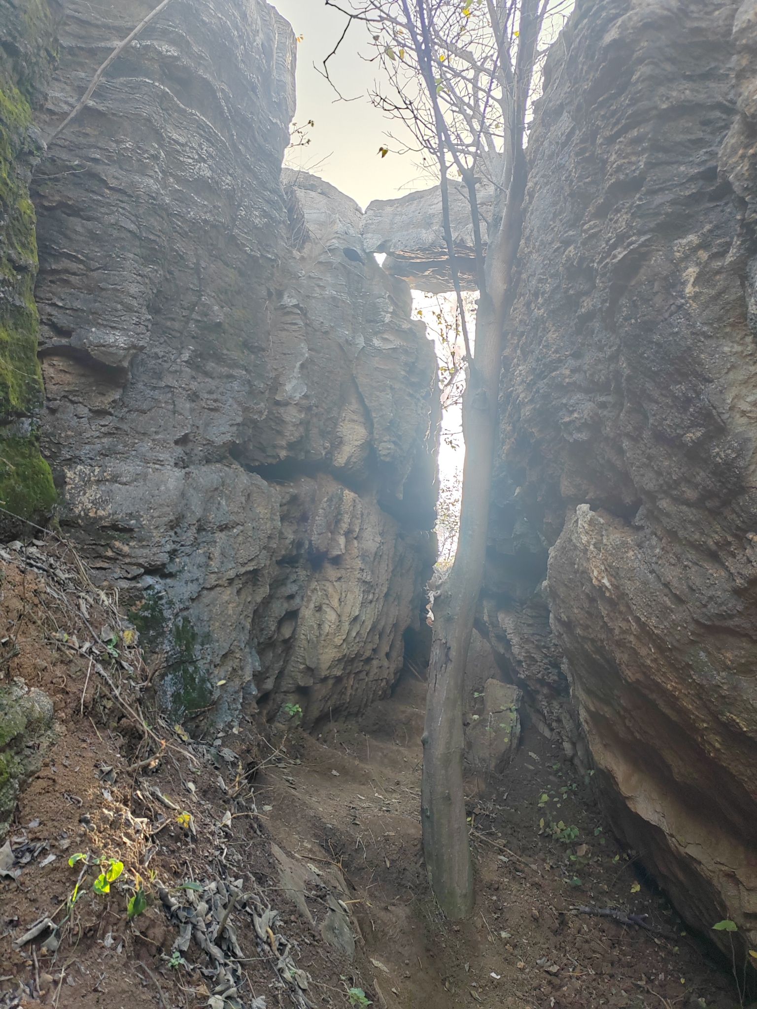 老鹰山旅行图片 2