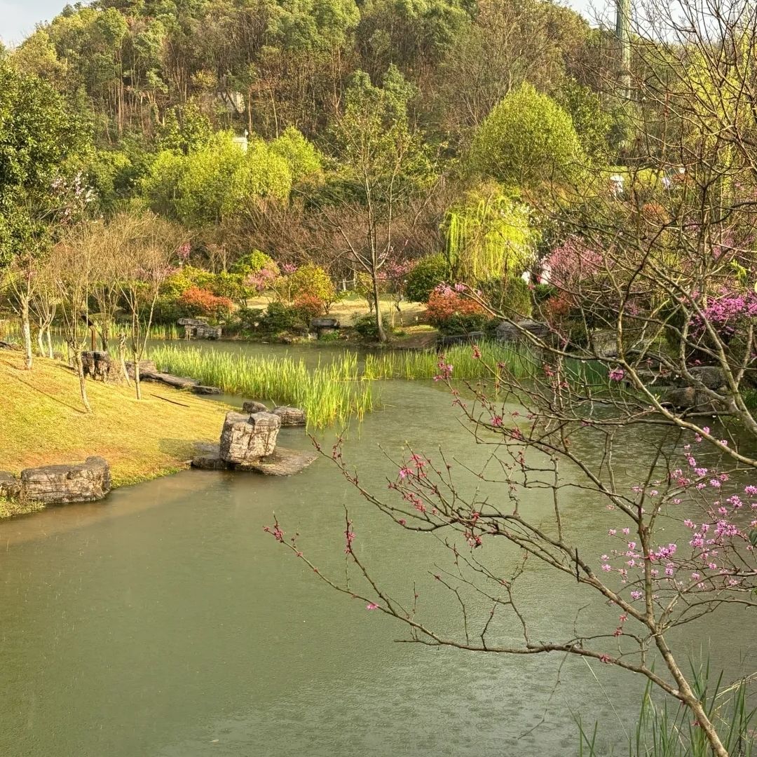 桃花岭景区旅行图片 3