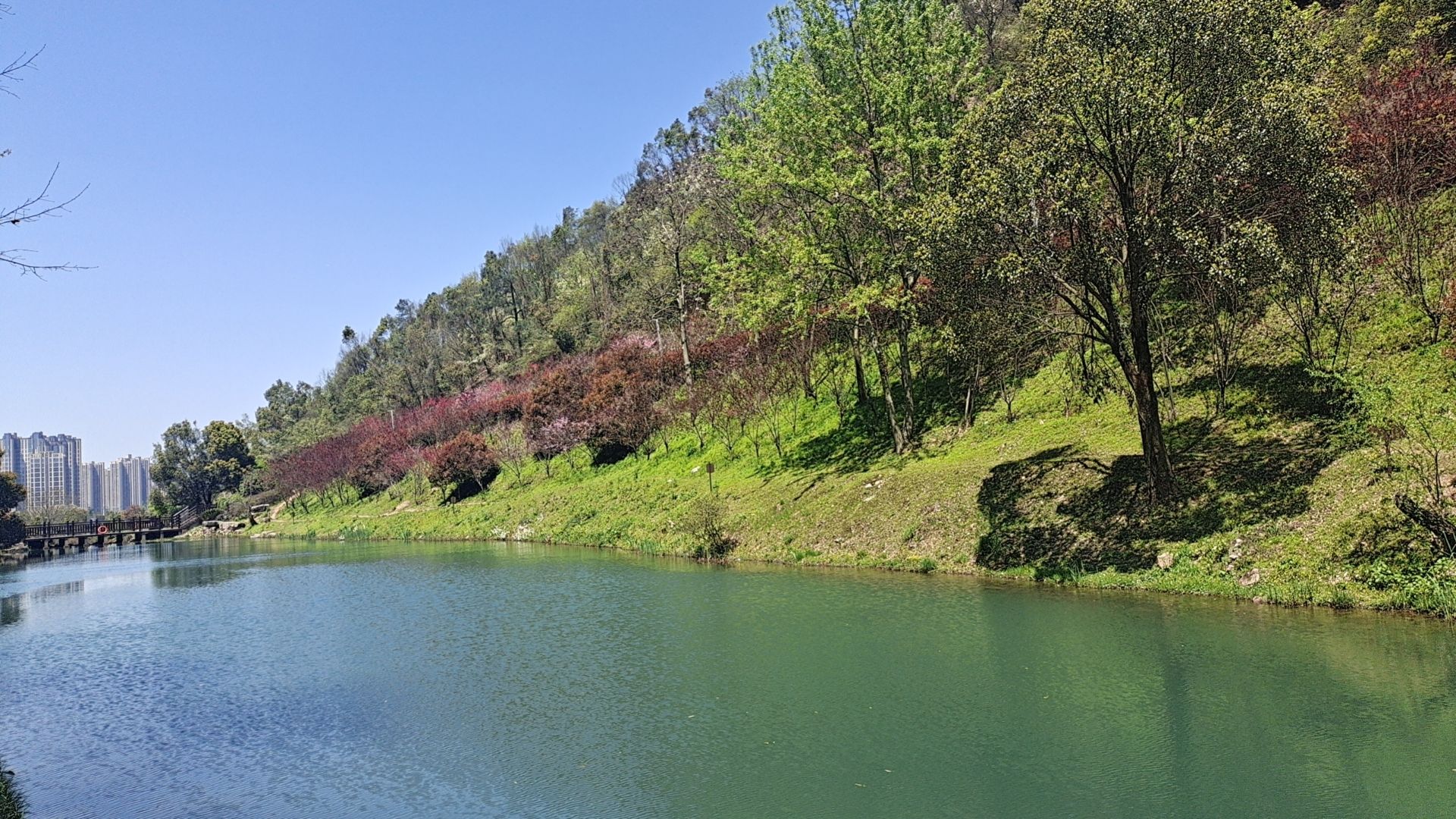 桃花岭景区旅行图片 2
