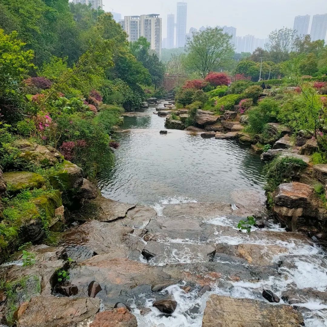 桃花岭景区旅行图片 1