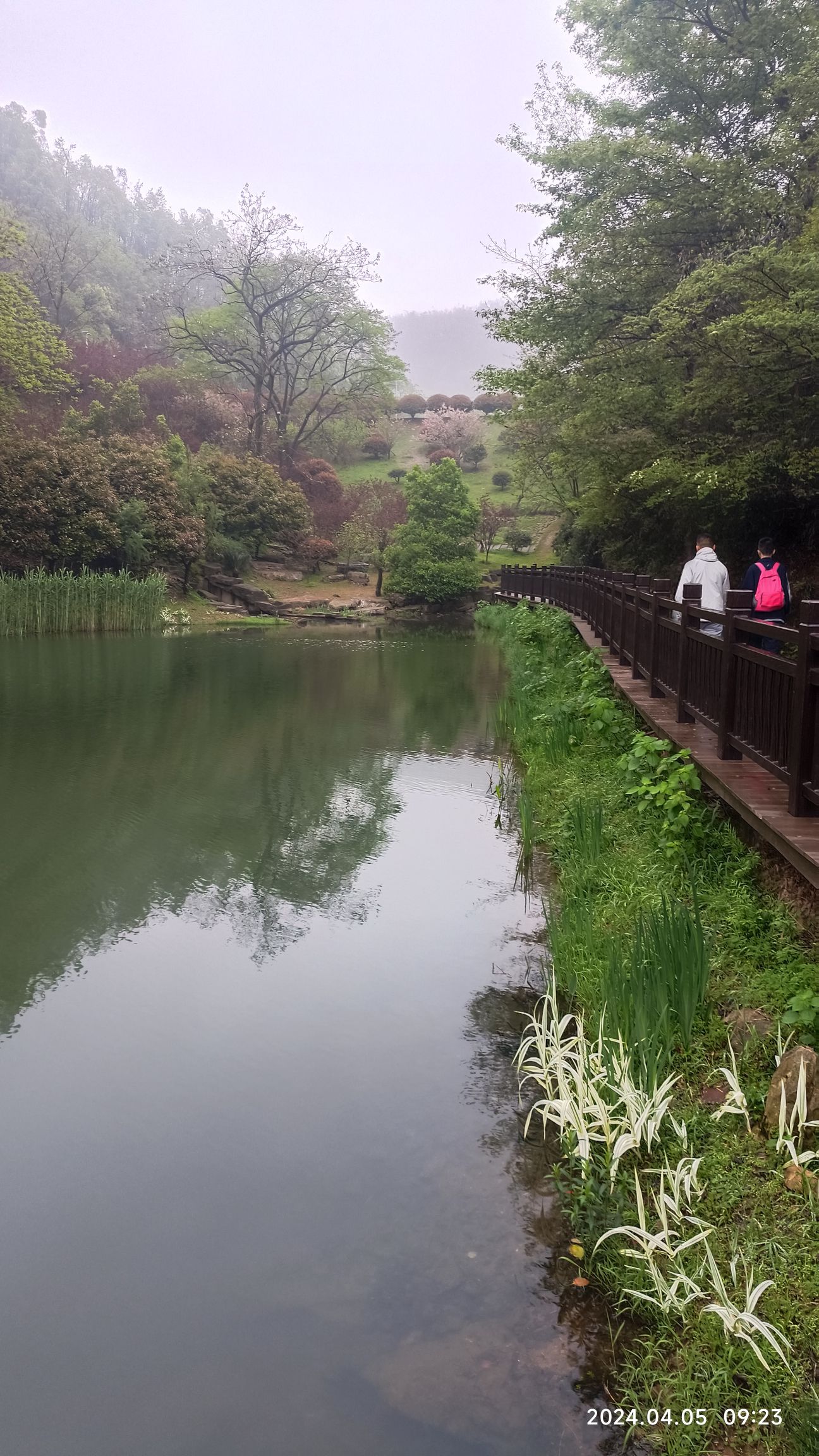 桃花岭景区旅行图片 3