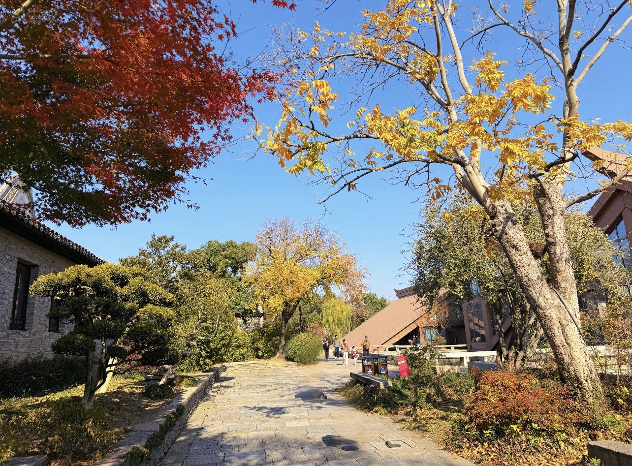 上海广富林文化遗址旅行图片 2